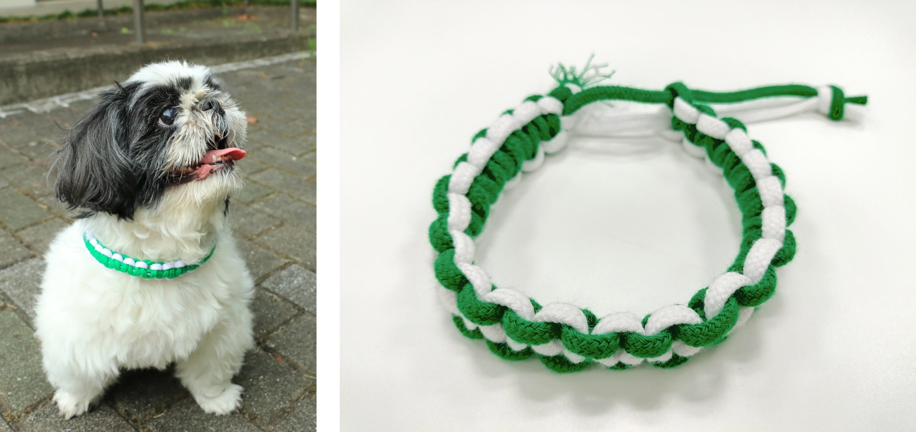 アニコム損害保険株式会社