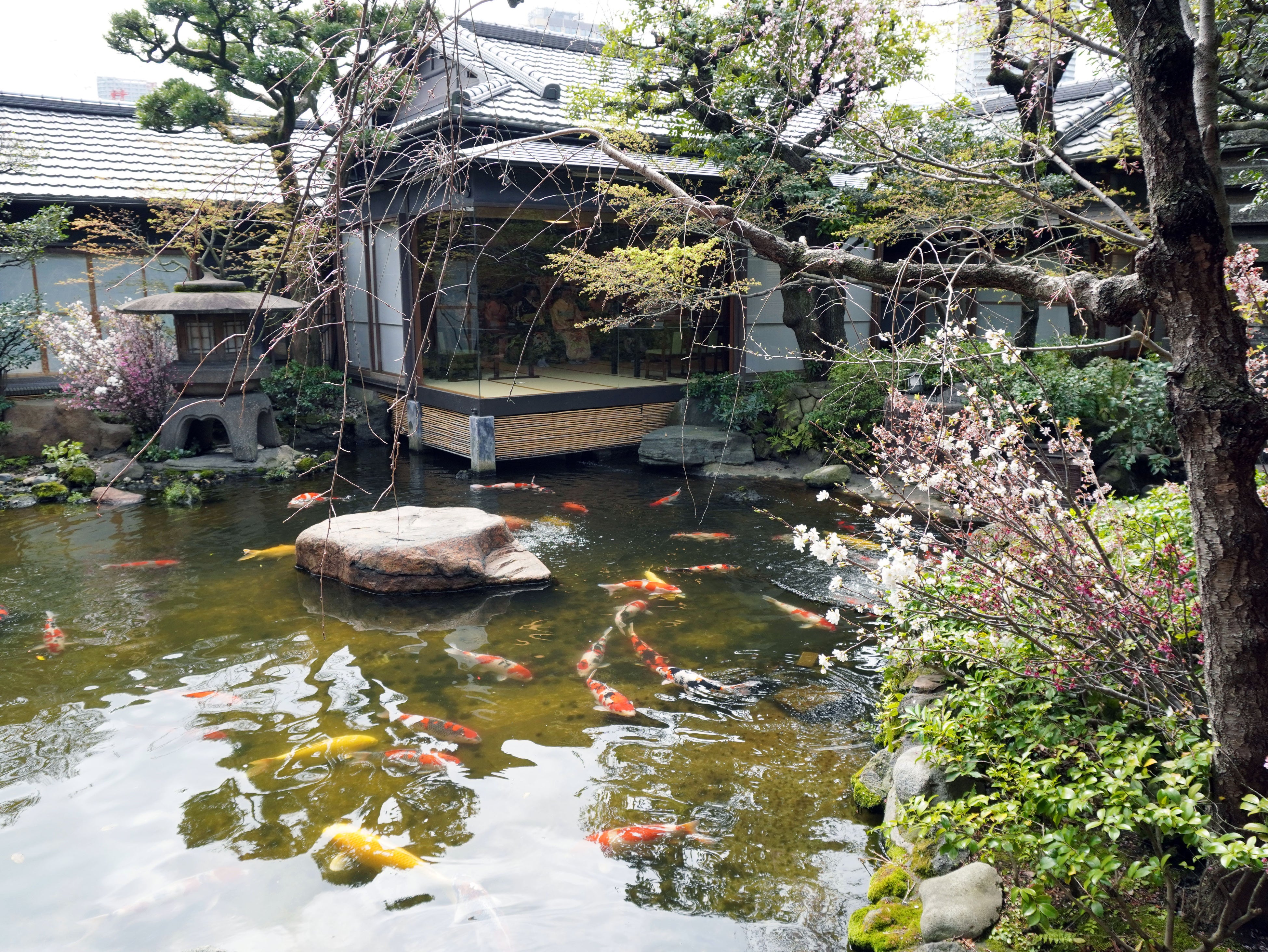 つきじ治作の庭園