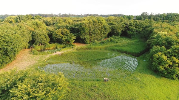 あさひ・いのちの森