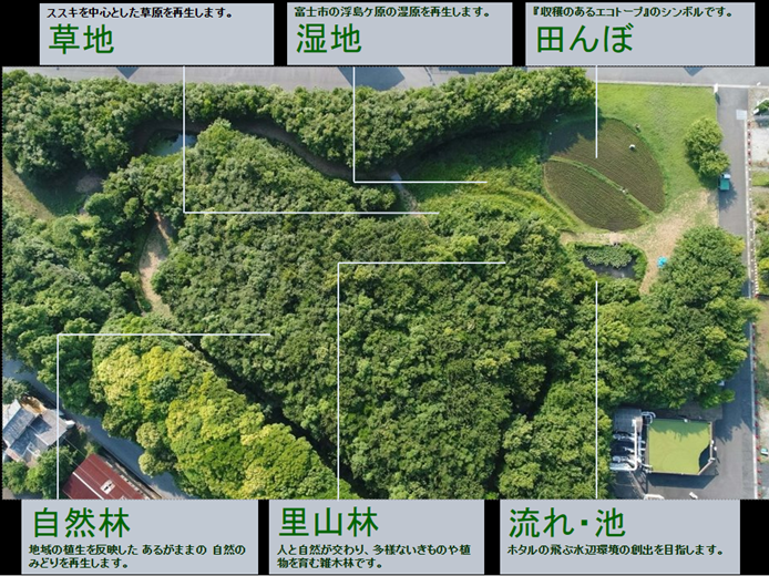 「あさひ・いのちの森」現在の状況