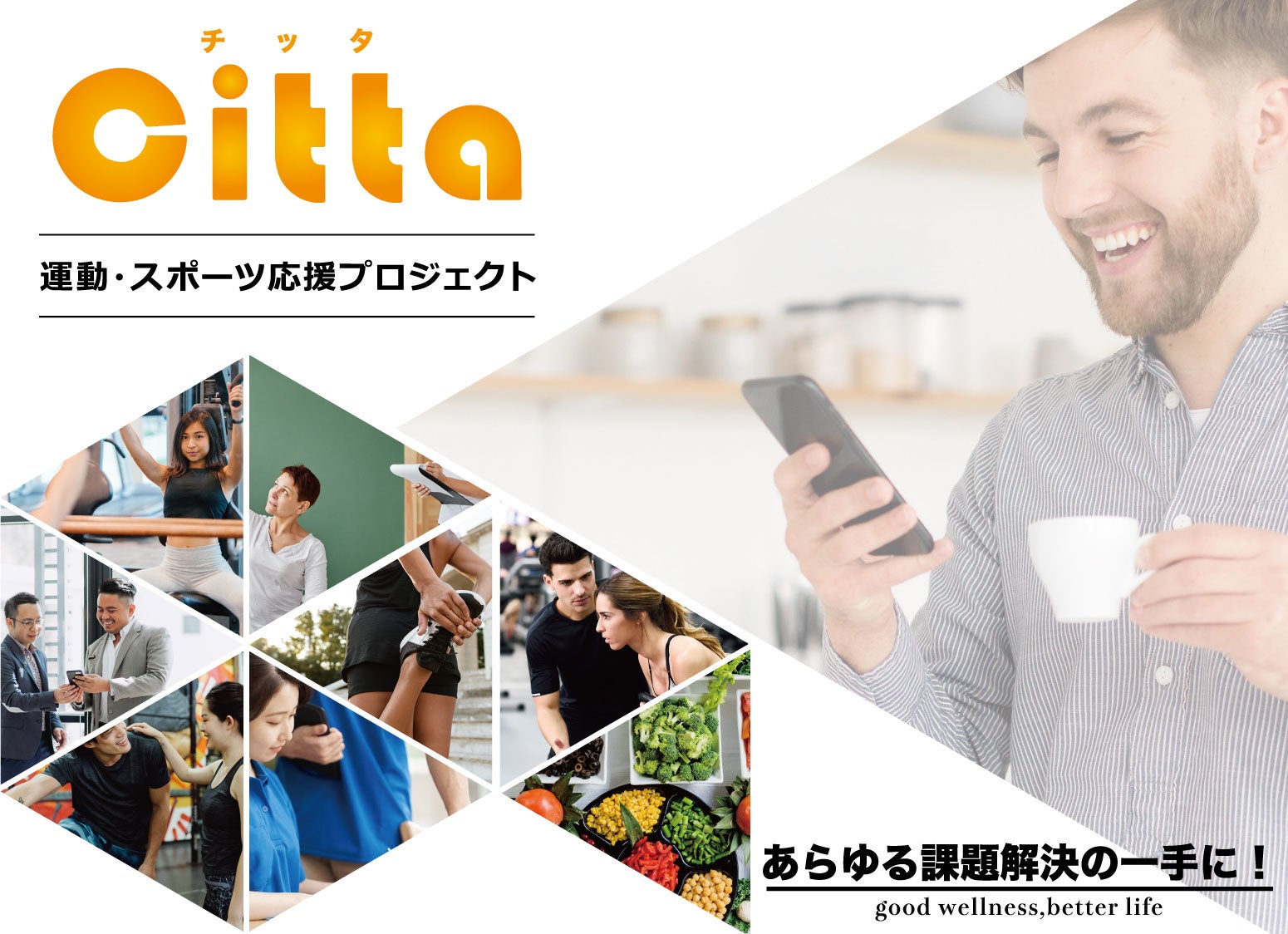 情報検索プラットフォーム『Citta』