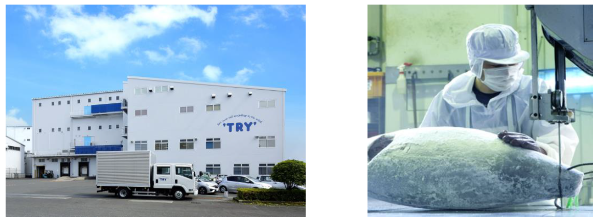 【左からトライ産業 清水本社および工場認定工場での冷凍マグロ加工】