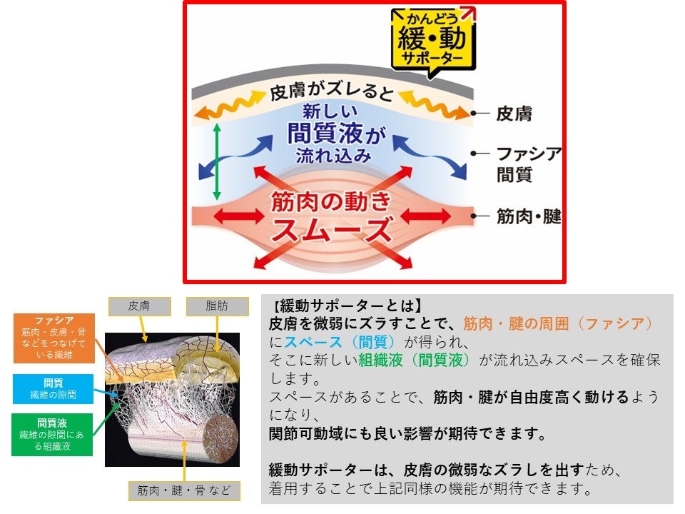 緩動機能の説明