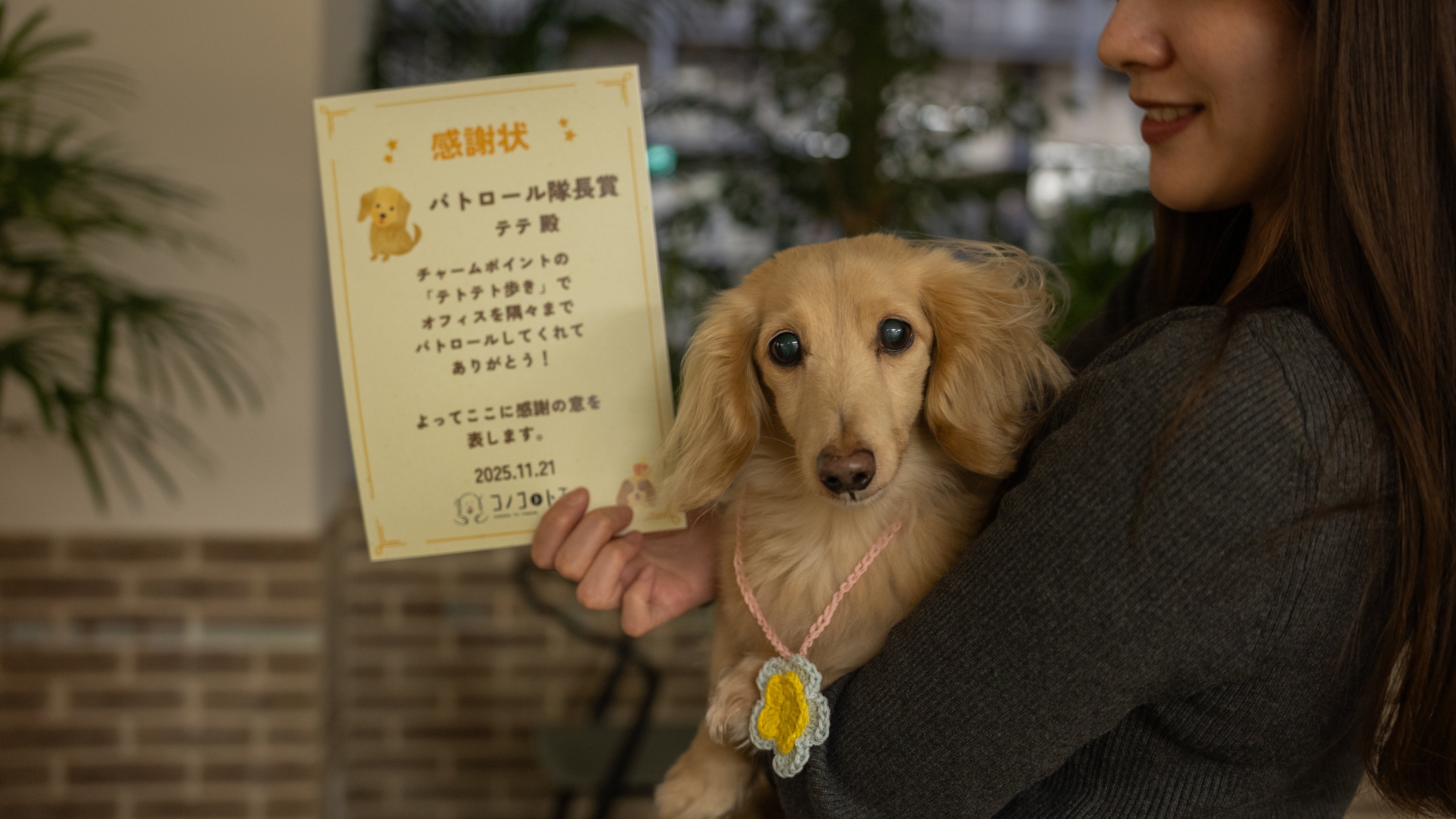 福ちゃん様のみ購入有効。ご縁に感謝特別値下げ対応ページ。送料無料。 福ちゃん様のみ購入有効。ご縁に感謝特別値下げ対応ページ。送料無料。