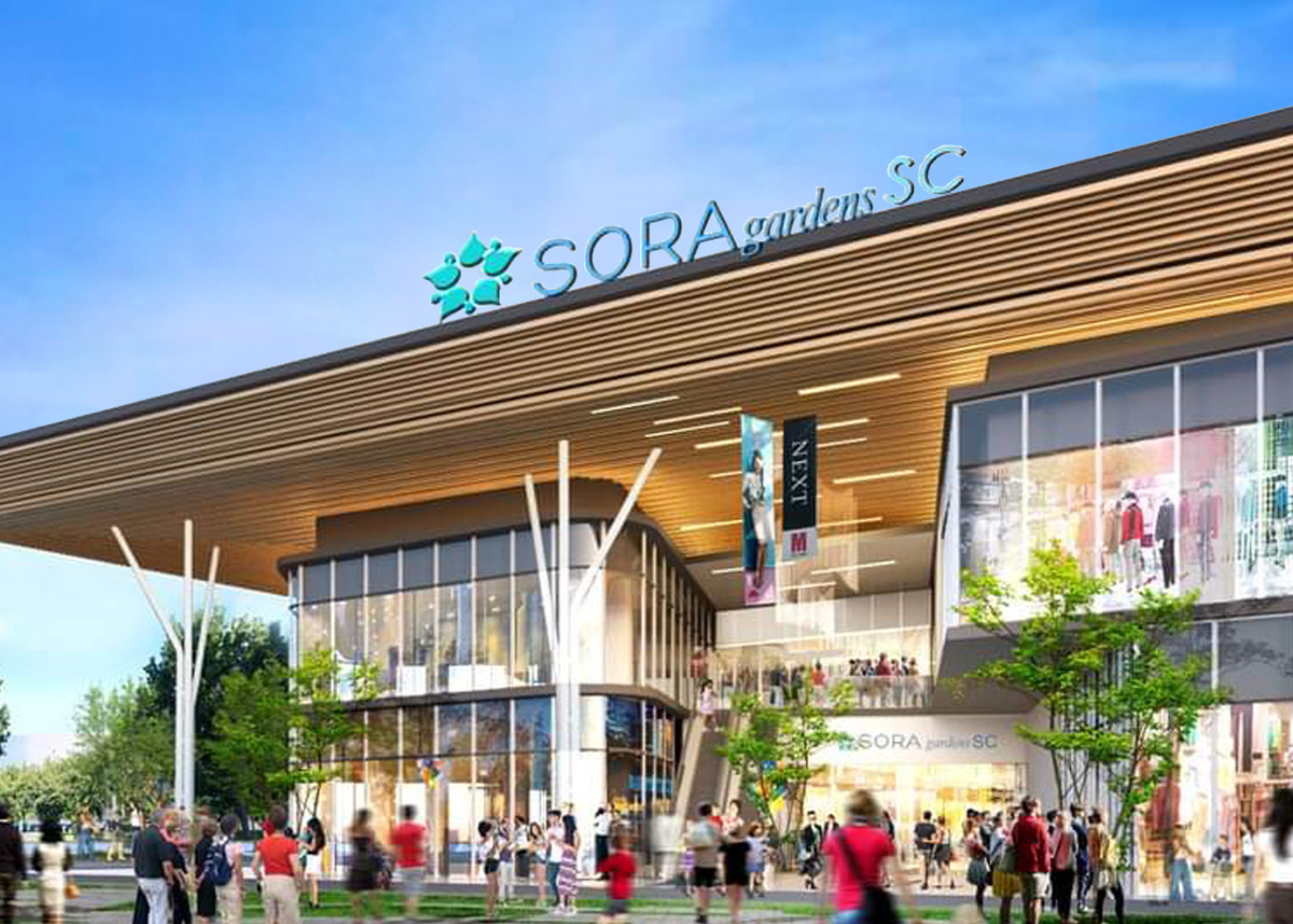 写真はイメージです