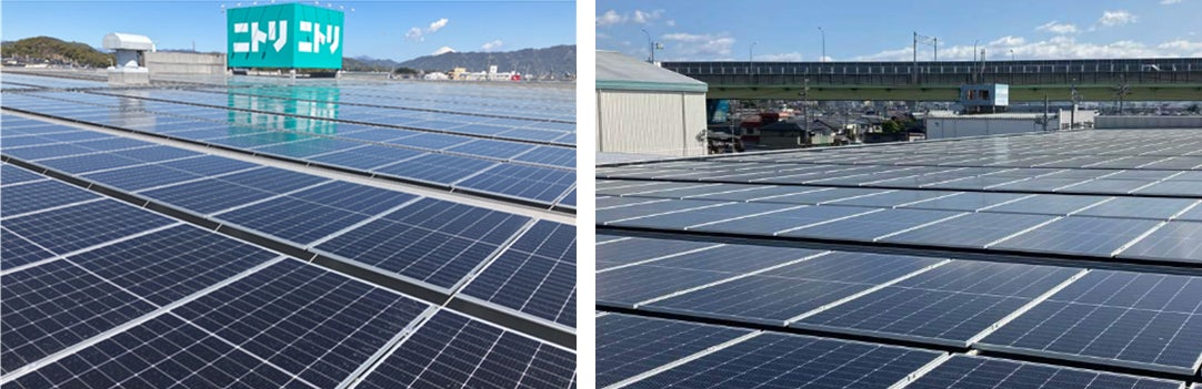 屋根全面に敷き詰めた太陽光パネル(左からニトリ藤枝店、ニトリ小牧店)