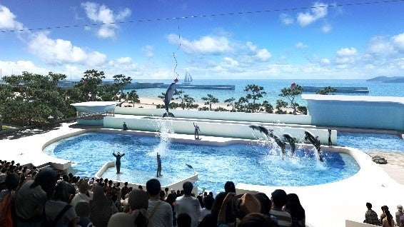 パフォーマンスイメージ