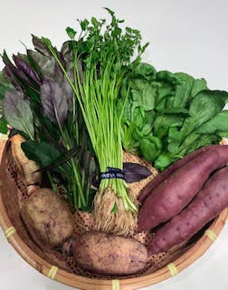 加賀野菜セット ※写真はイメージです。