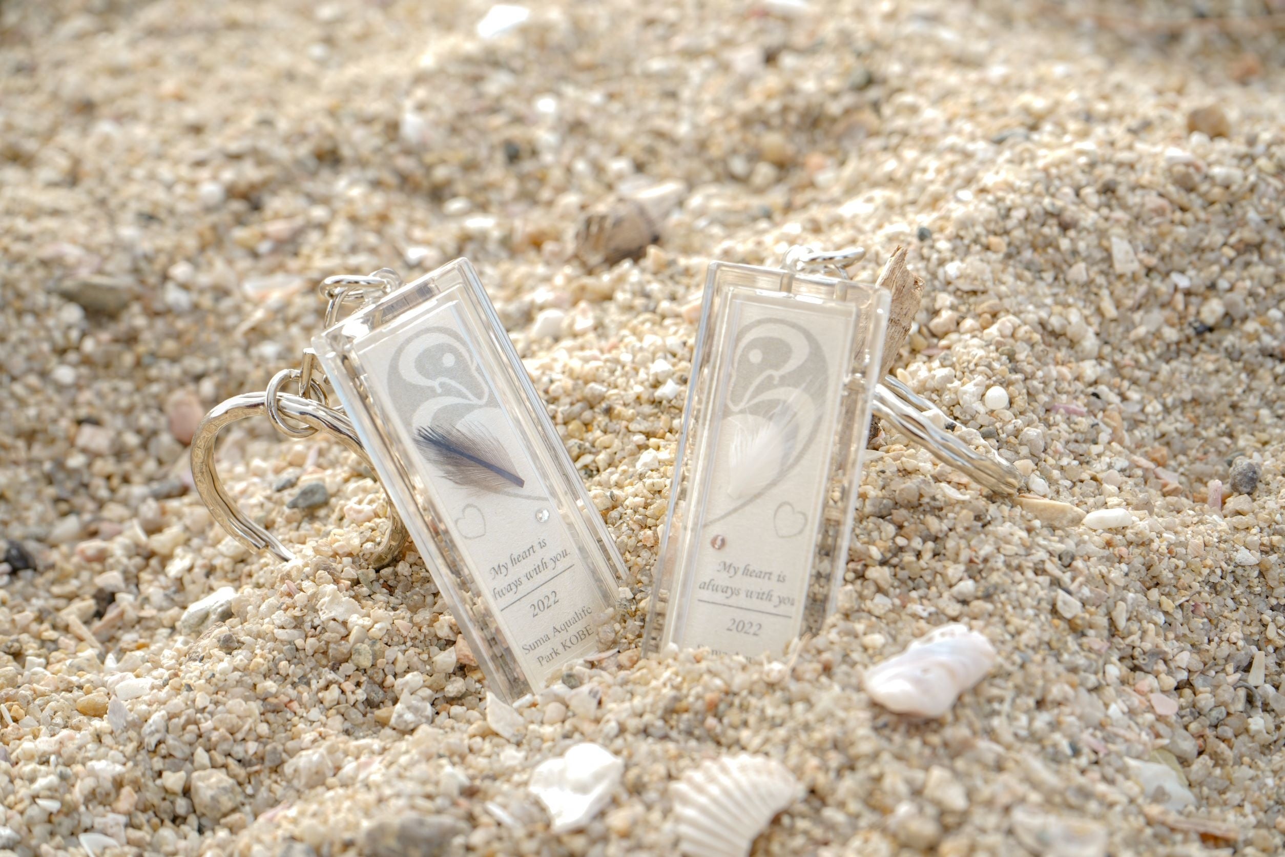 神戸市立須磨海浜水族園】数量限定「ラブラブカップルチケット」を販売