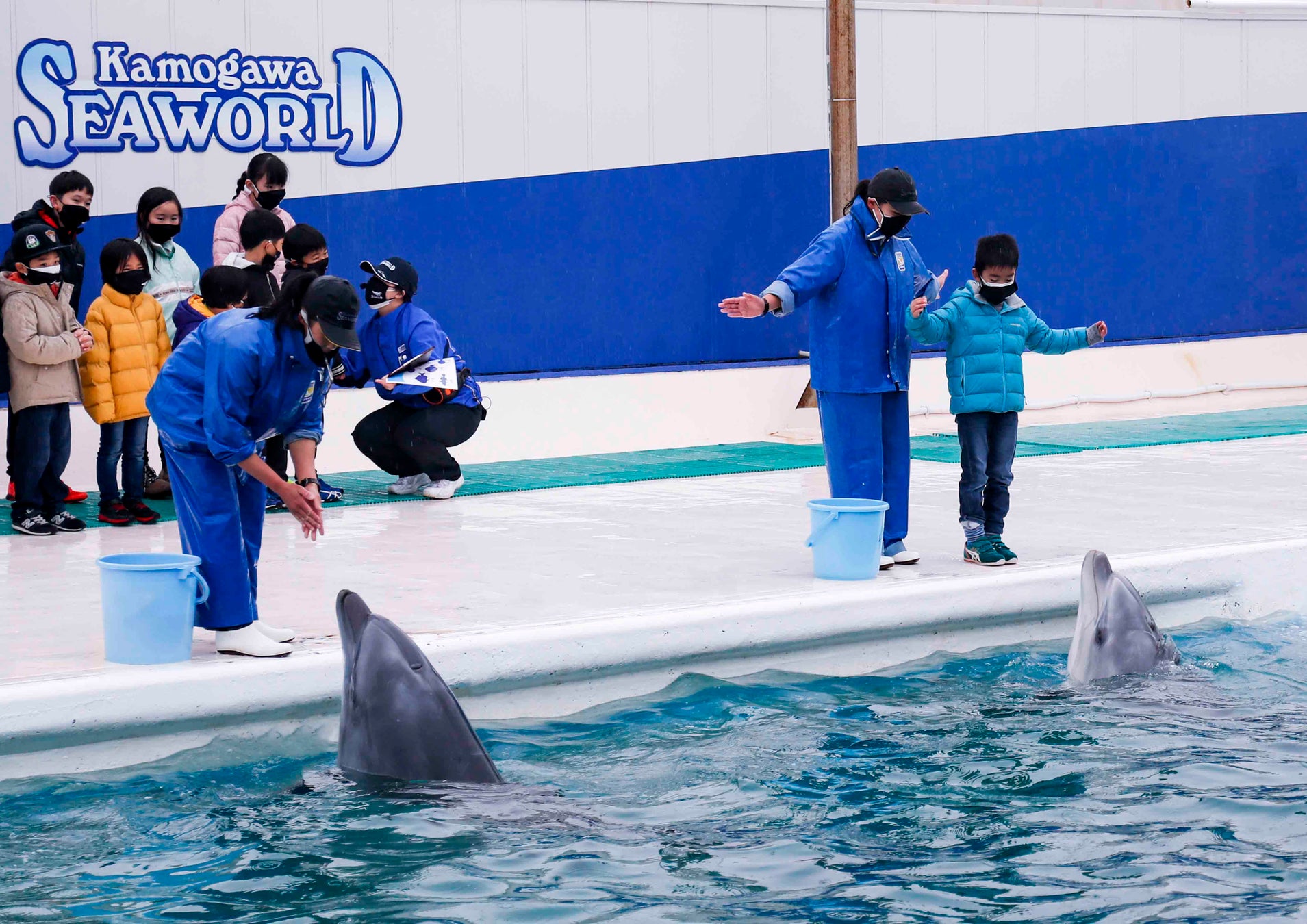 鴨川シーワールド スプリングスクール 開催 グランビスタ ホテル リゾートのプレスリリース 鴨川シーワールド スプリングスクール 開催 グランビスタ ホテル リゾートのプレスリリース