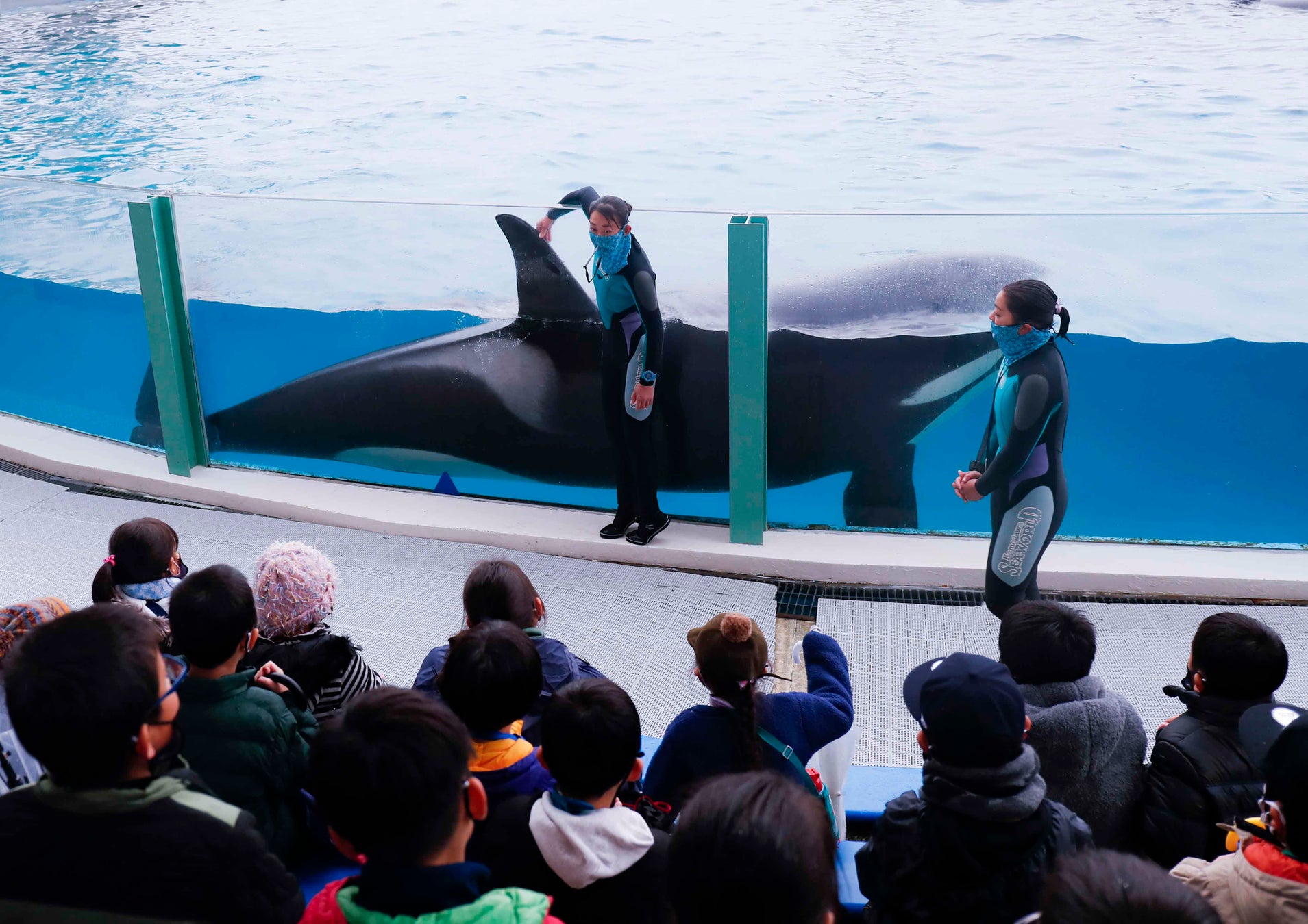 鴨川シーワールド スプリングスクール 開催 グランビスタ ホテル リゾートのプレスリリース 鴨川シーワールド スプリングスクール 開催 グランビスタ ホテル リゾートのプレスリリース