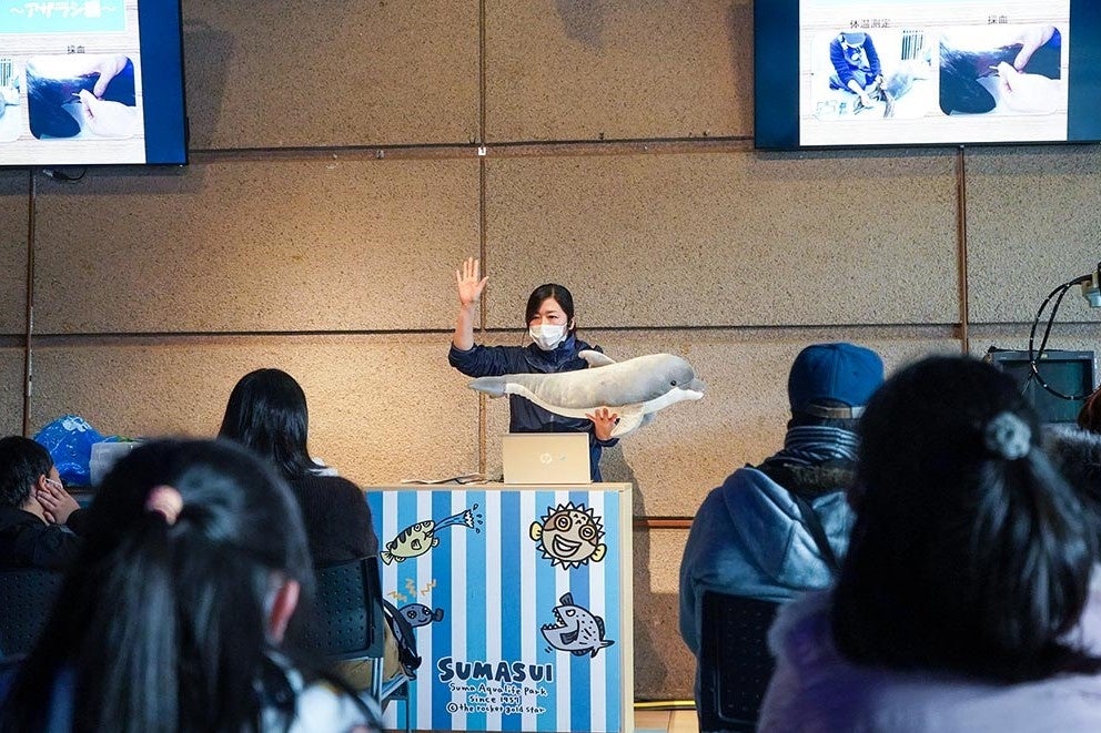 イルカ・ラボ・スクールの様子（イメージ）