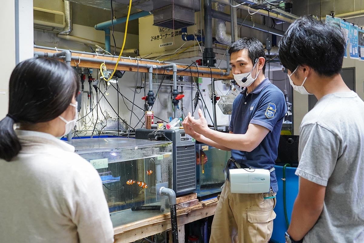 夜のスマスイ バックヤードツアー（イメージ）