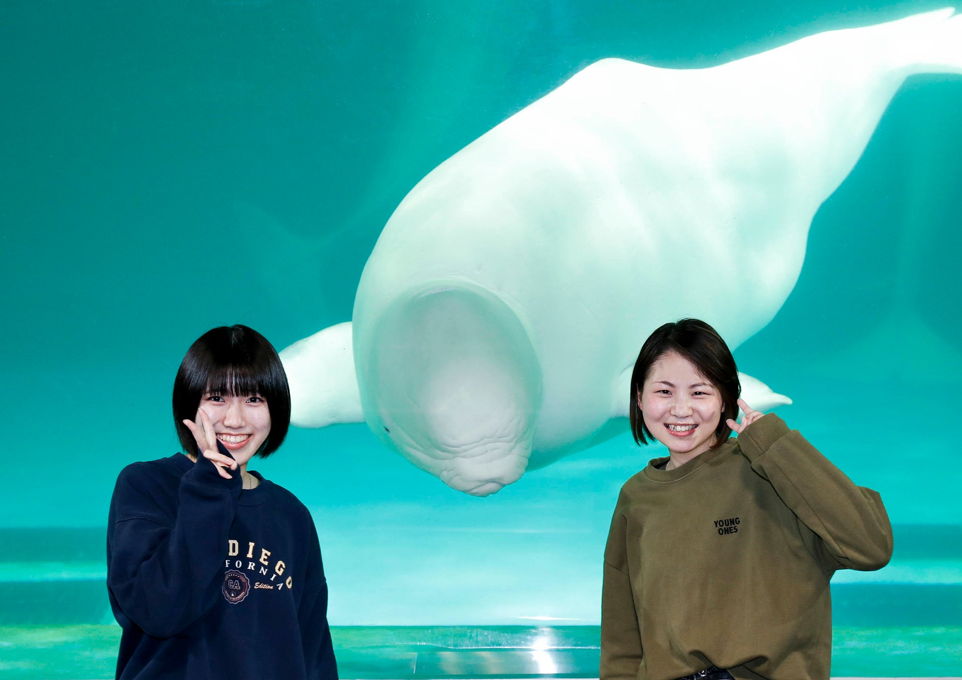 夏の夕暮れ 涼しくなった水族館を満喫するレイトプログラム 7月14日 木 より受付開始 鴨川シーワールド 水族館探検プラン開催 グランビスタ ホテル リゾートのプレスリリース 夏の夕暮れ 涼しくなった水族館を満喫するレイトプログラム 7月14日 木 より受付開始 鴨川シーワールド 水族館探検プラン開催 グランビスタ ホテル リゾートのプレスリリース