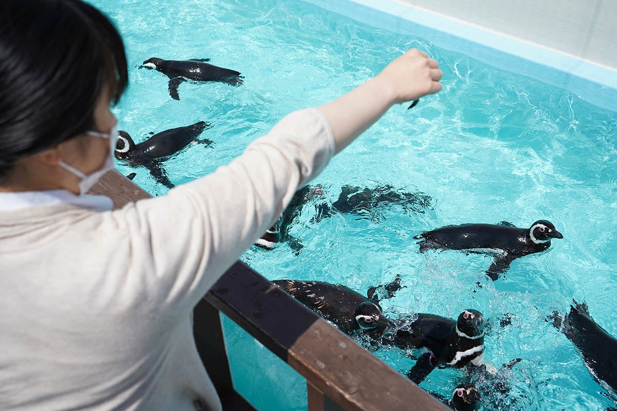 須磨海浜水族園 須磨水族館 写真付き 神戸市立須磨海浜水族園 - Japan View
