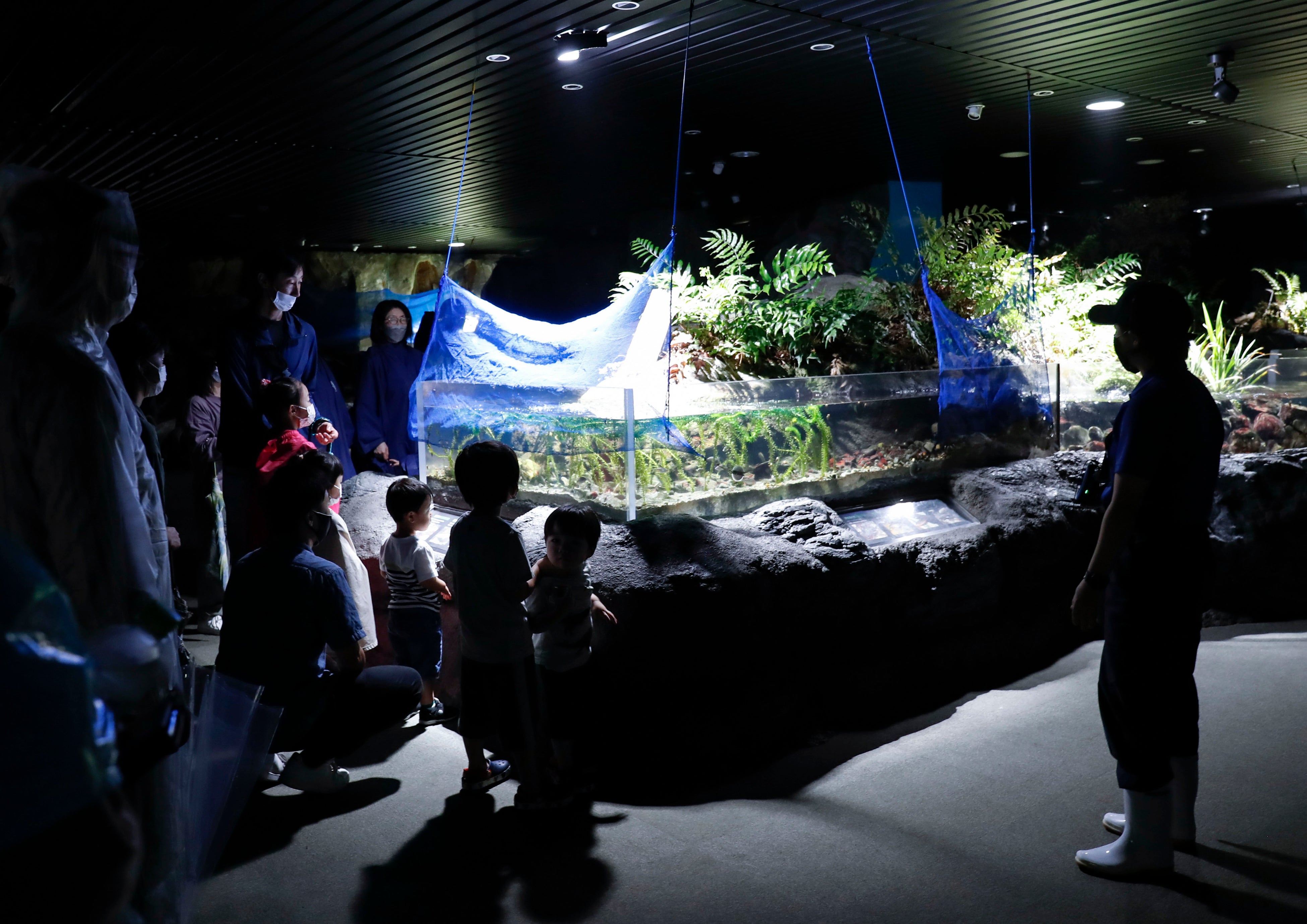 　　　ナイトアドベンチャー