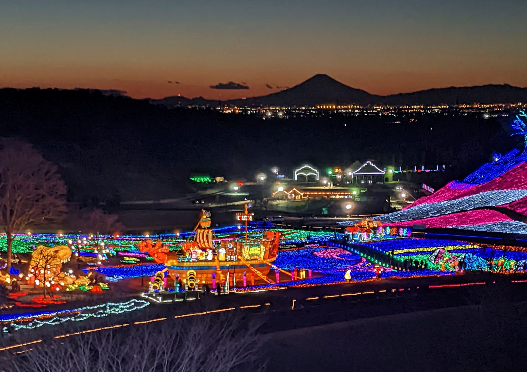 東京ドイツ村　ウインターイルミネーション