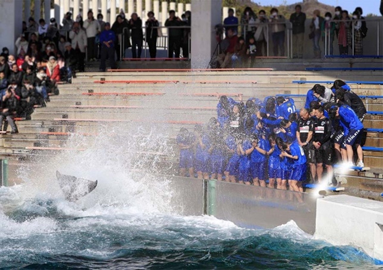 シャチから激励の「テールバースト」