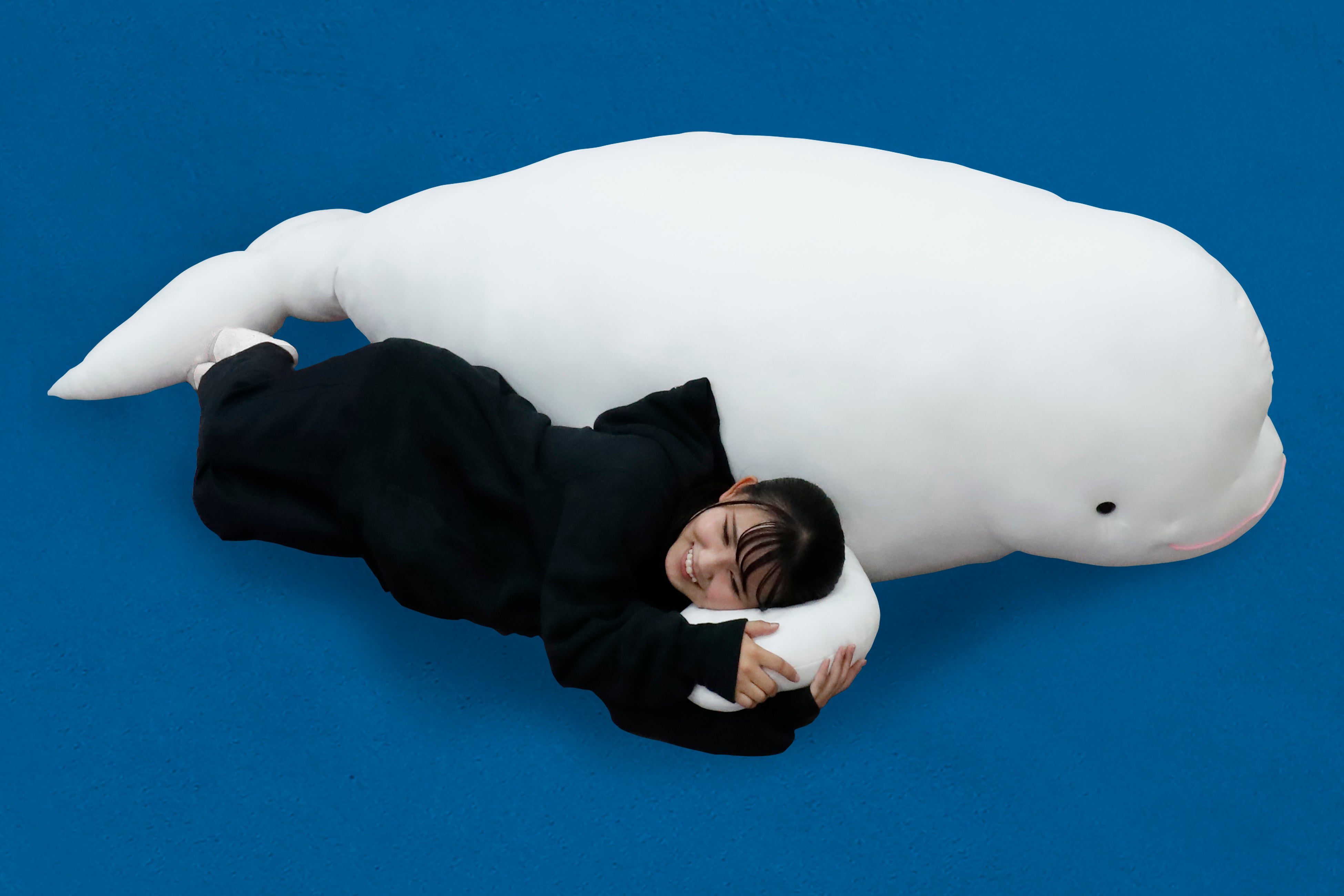 鴨川シーワールド「BIGベルーガぬいぐるみ」が登場 全長約190cmの