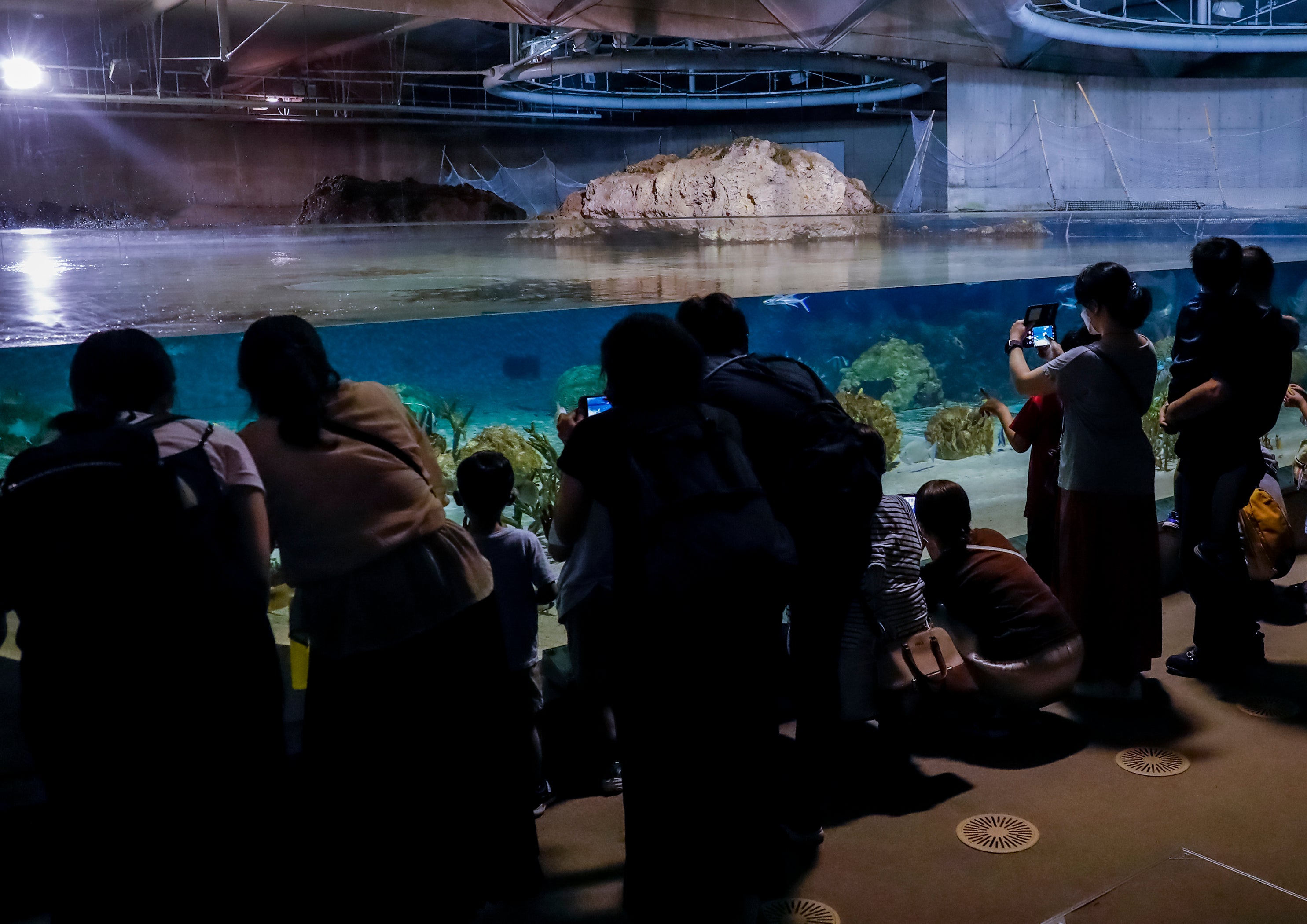 昼と夜では魚の数が？