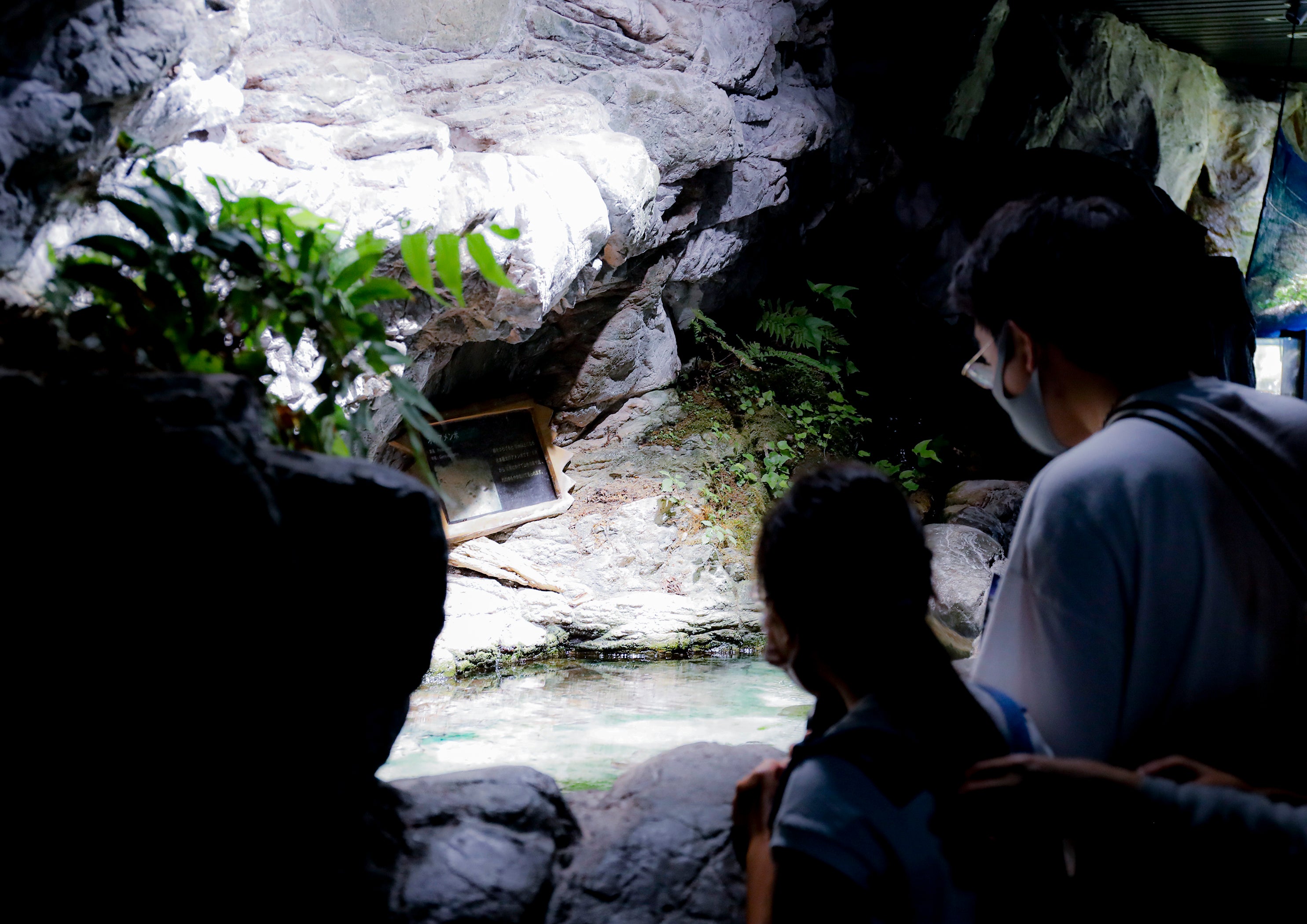 夜も灯る照明の秘密