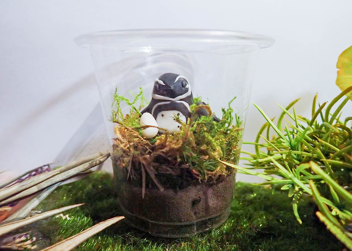 テラリウム（完成イメージ）