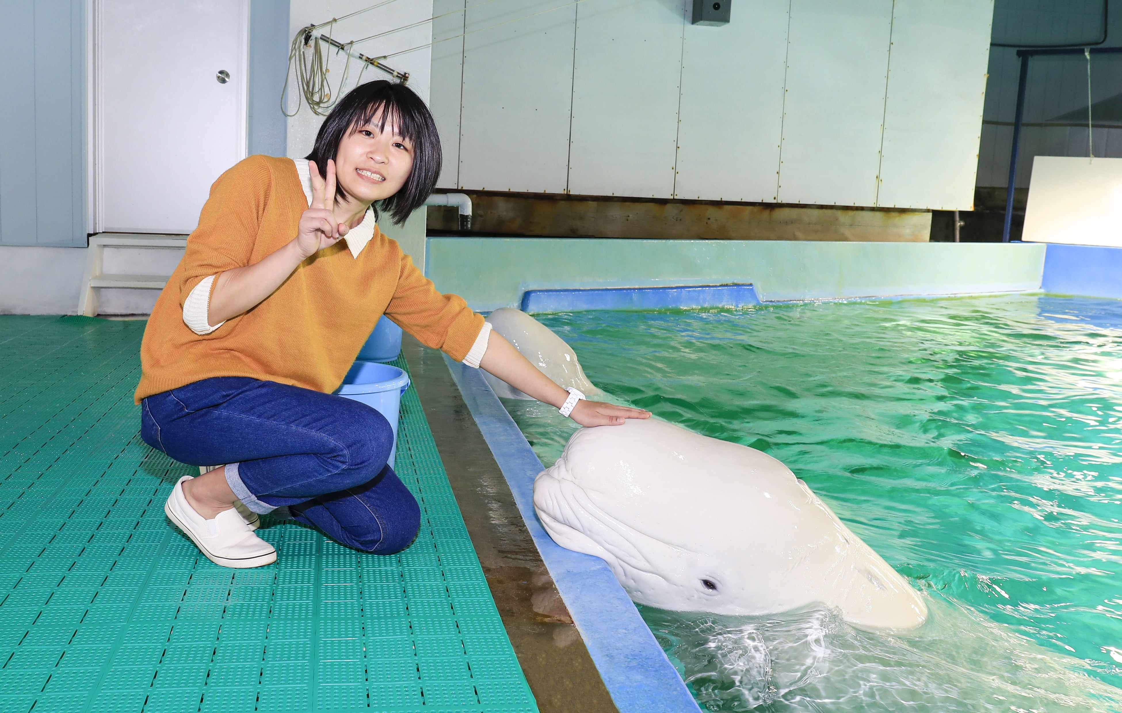 ベルーガにタッチ