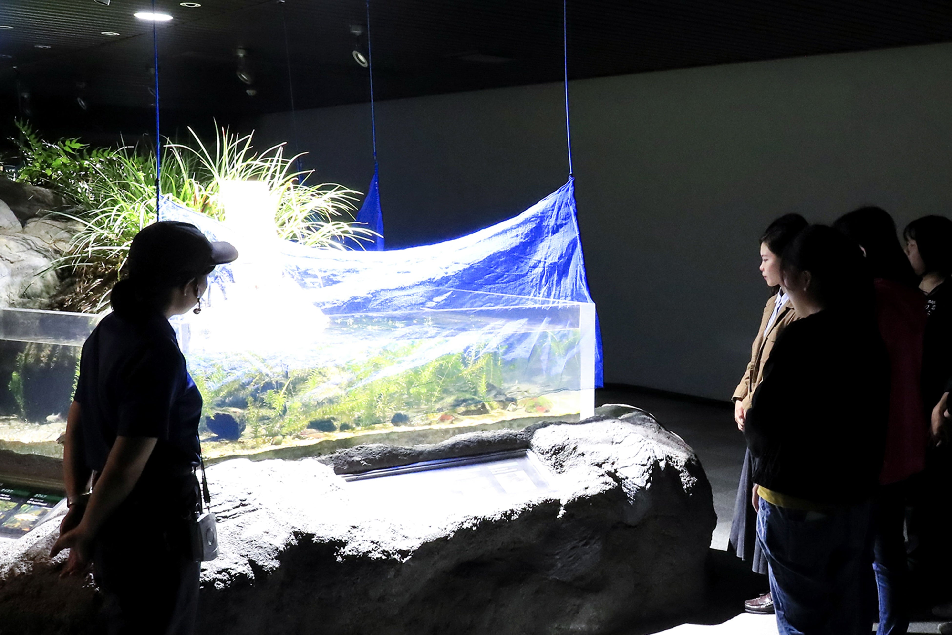 食事の後は夜の水族館を観察