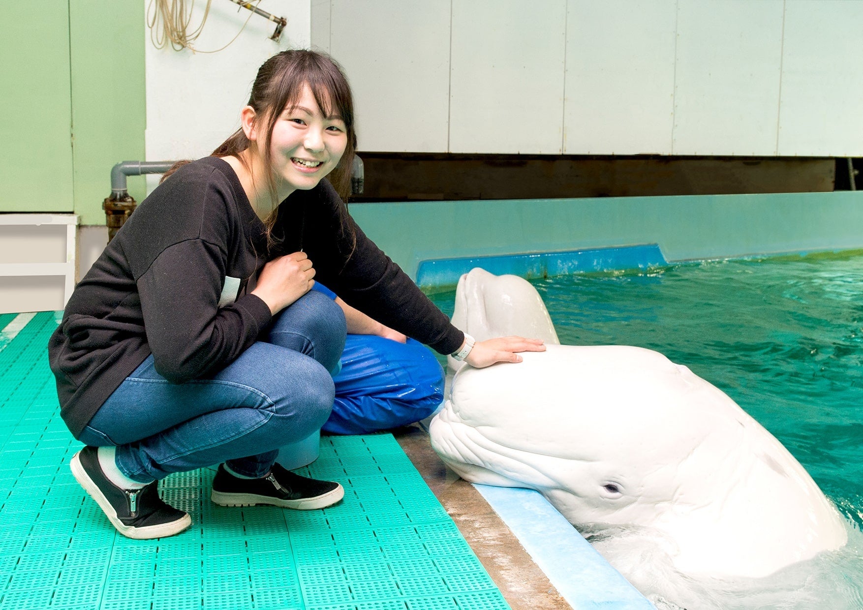 ③ベルーガにタッチ