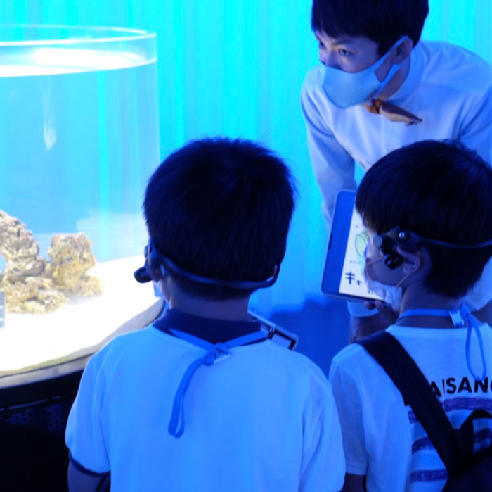 最後スマスイ探検ツアー（イメージ）