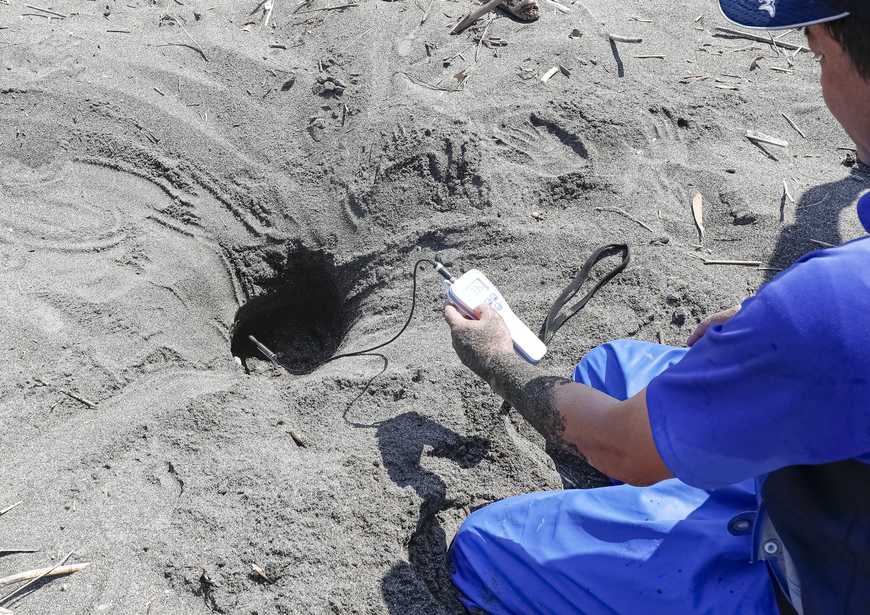 産卵場所の温度計測