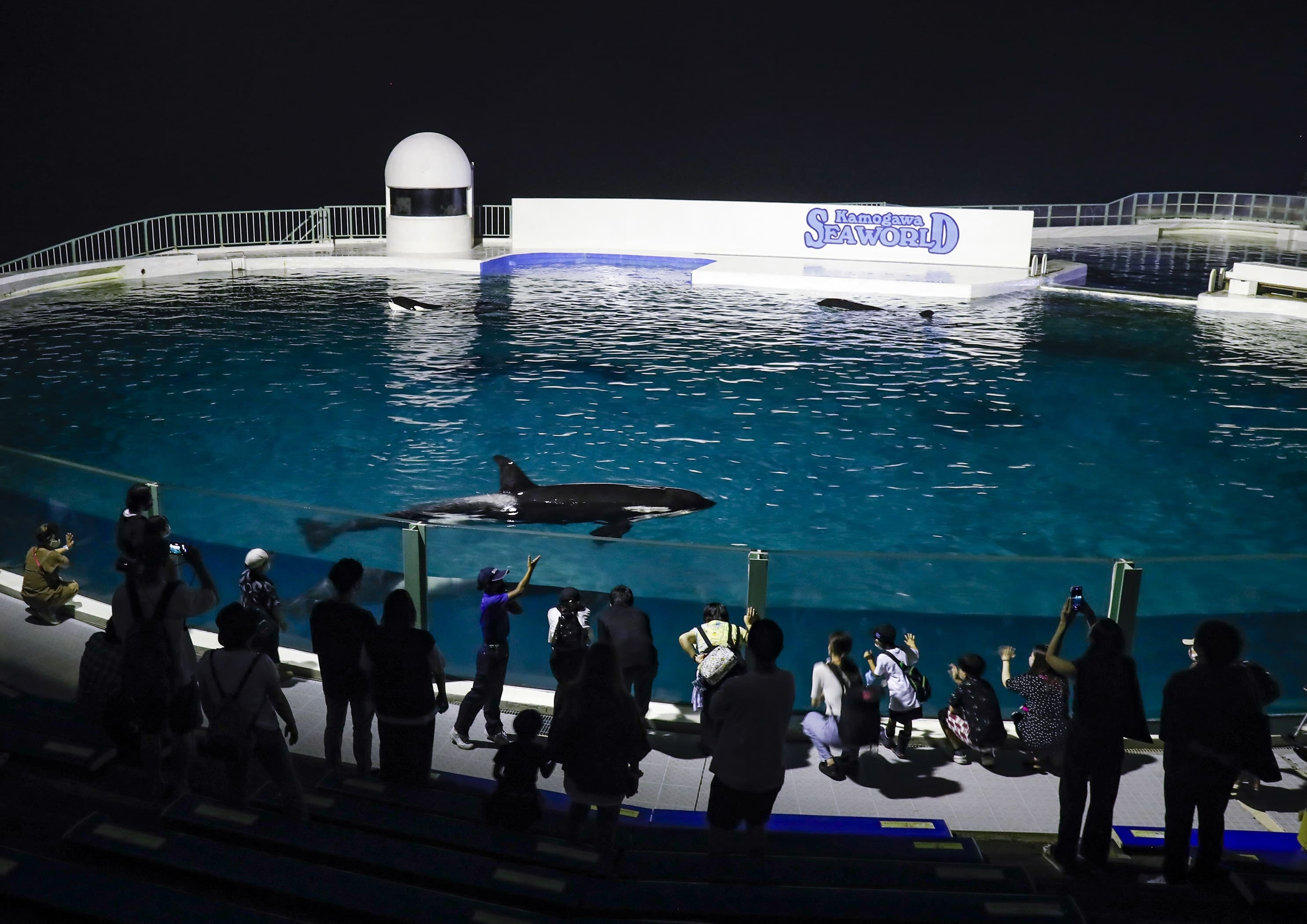 Kamogawa SeaWorld 黒 ポンチョ シャチ鴨シーワールド限定！ オリジナルレインポンチョ付き入園プラン〉 大人気のオリジナル