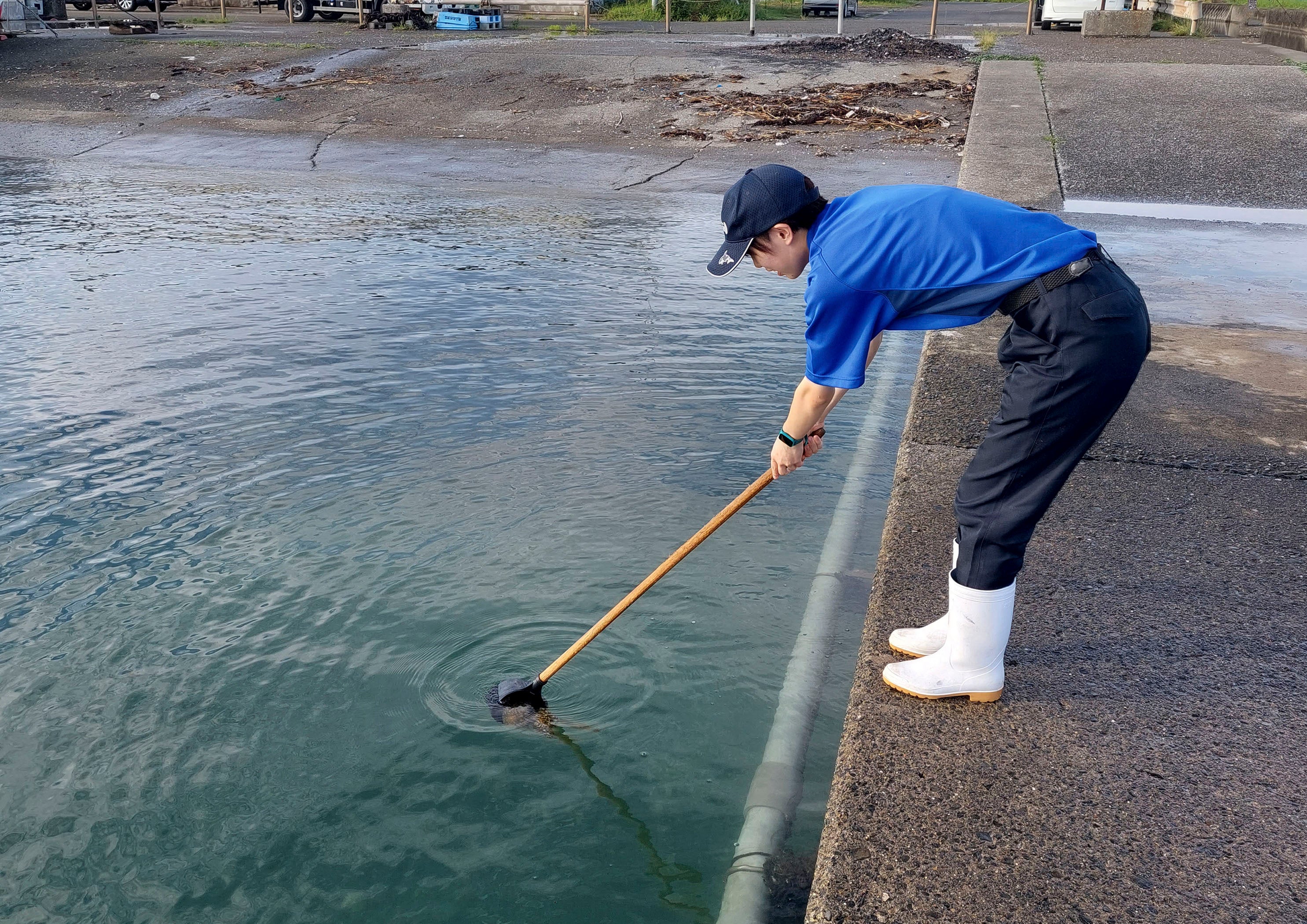 当館飼育員による採集の様子