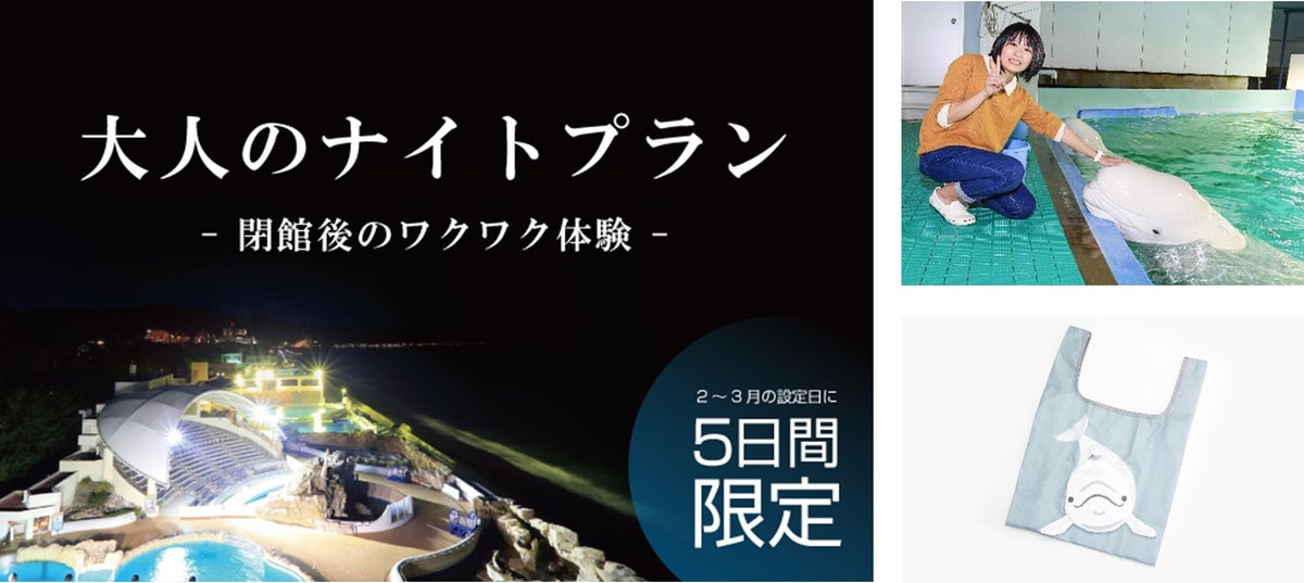 【鴨川シーワールド】ベルーガ好き必見！18歳以上限定の特別企画「大人のナイトプラン」を開催！