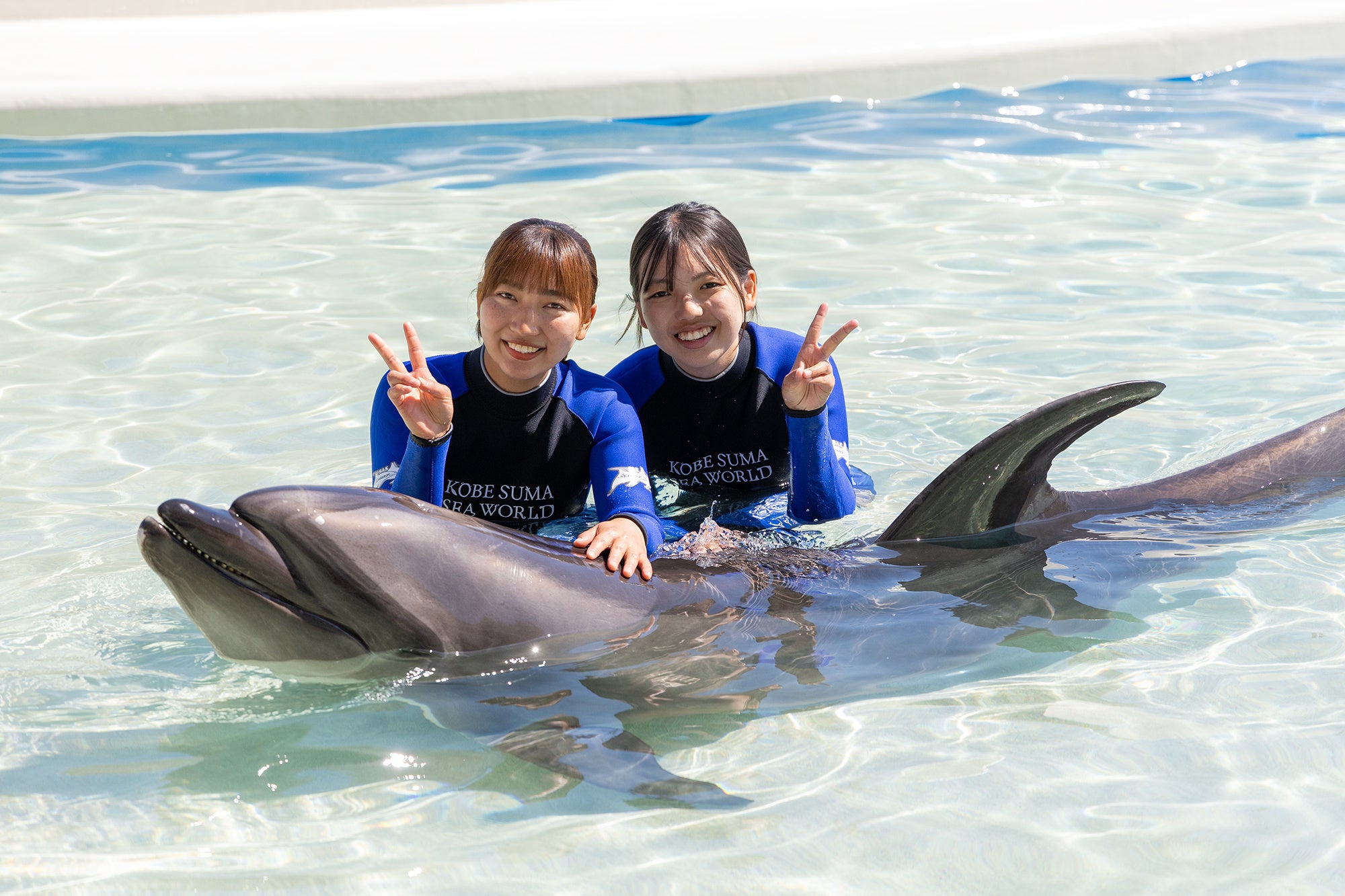 宿泊者限定プログラム「ドルフィンエクスペリエンス」