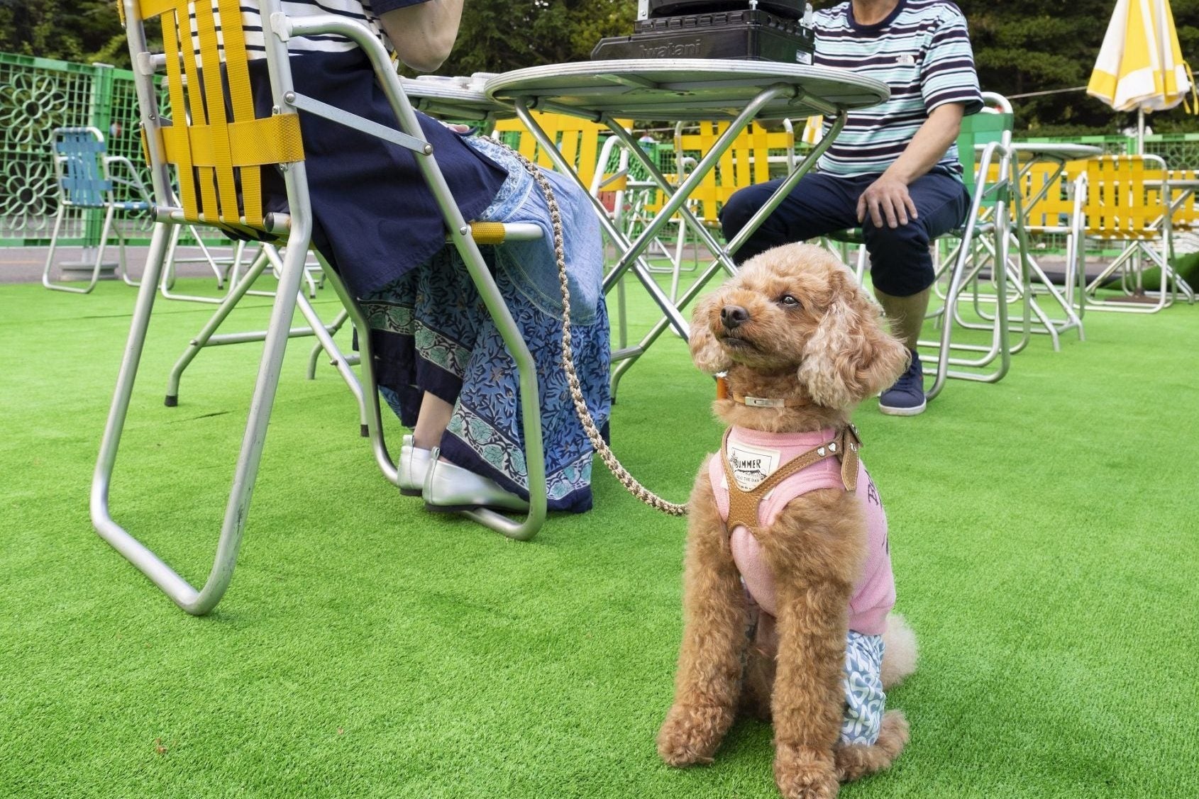 ドッグフレンドリーエリア