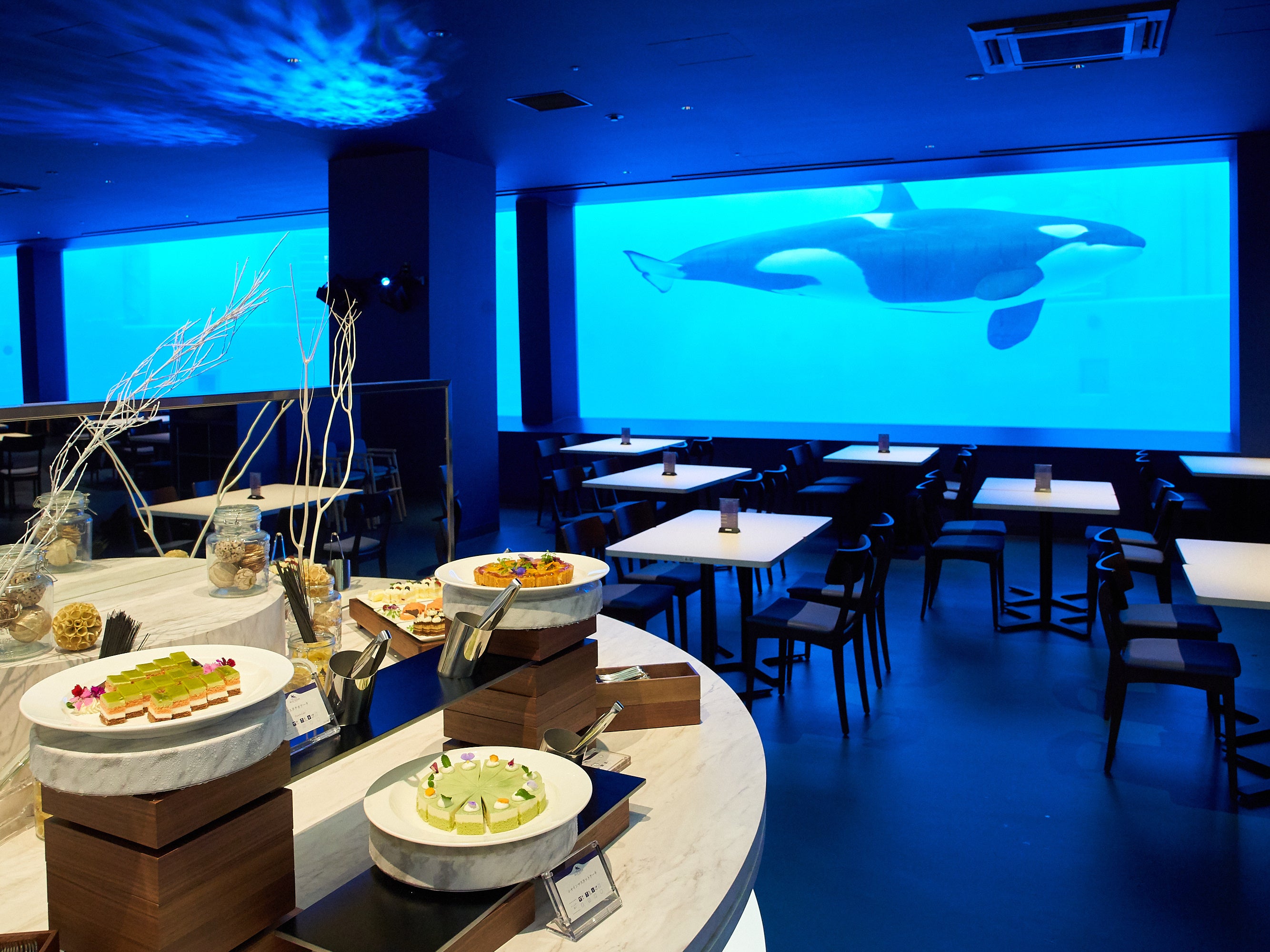 神戸須磨シーワールド】西日本で唯一シャチを眺めながら食事ができる