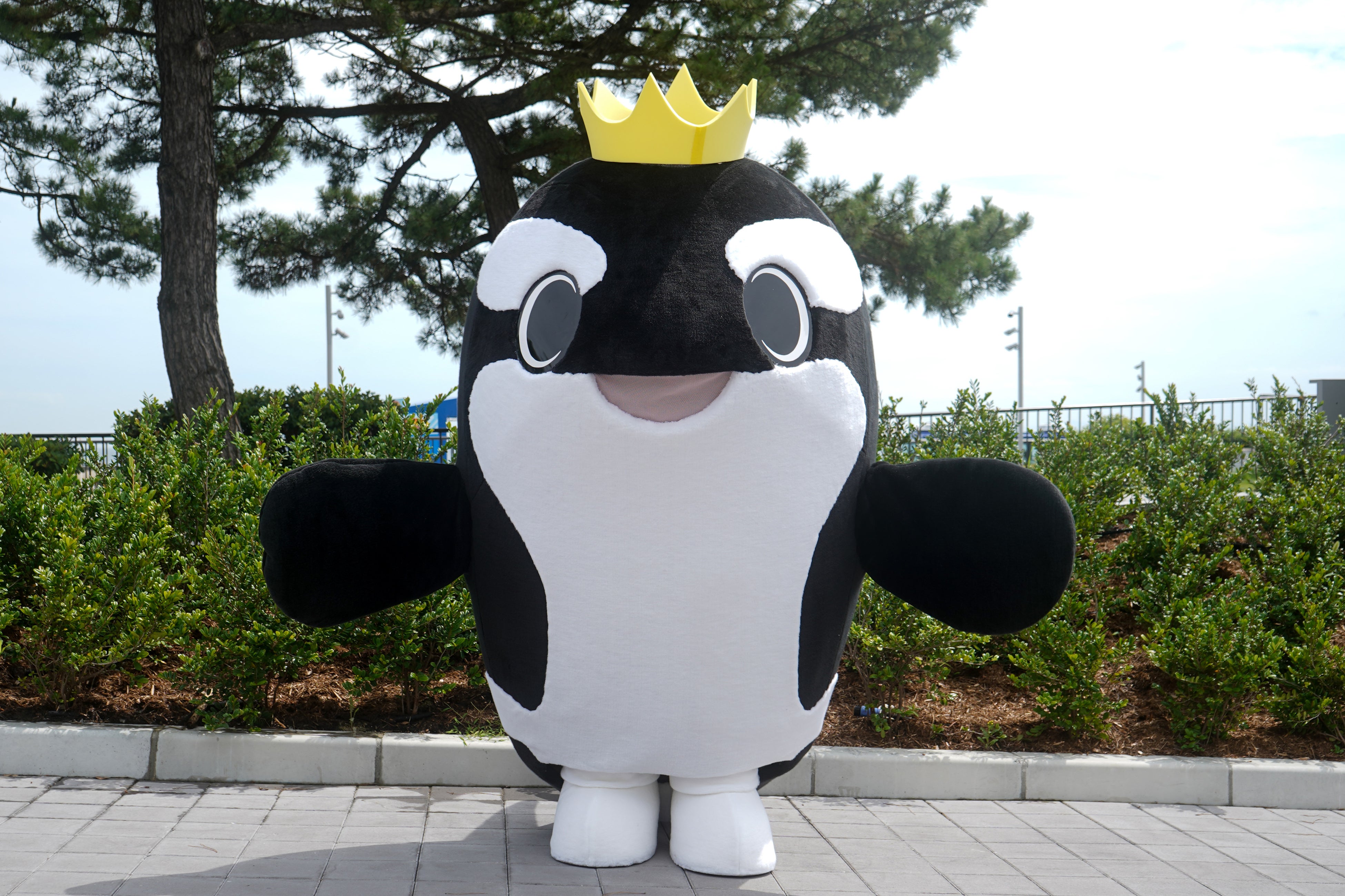 公式キャラクター「オルシー」