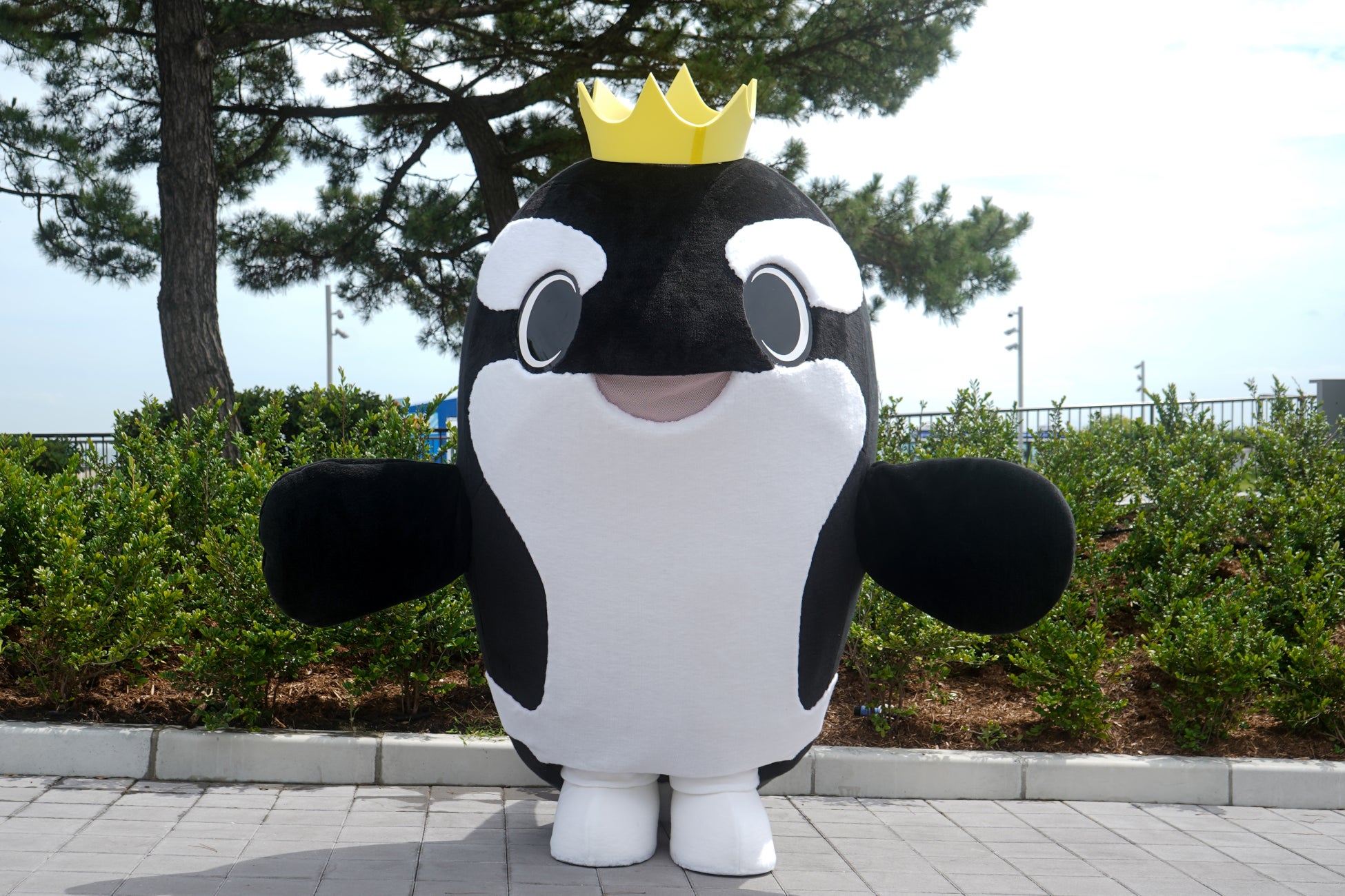 公式キャラクター「オルシー」