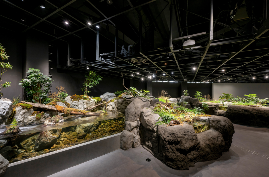 アクアライブ　ローカルライフ