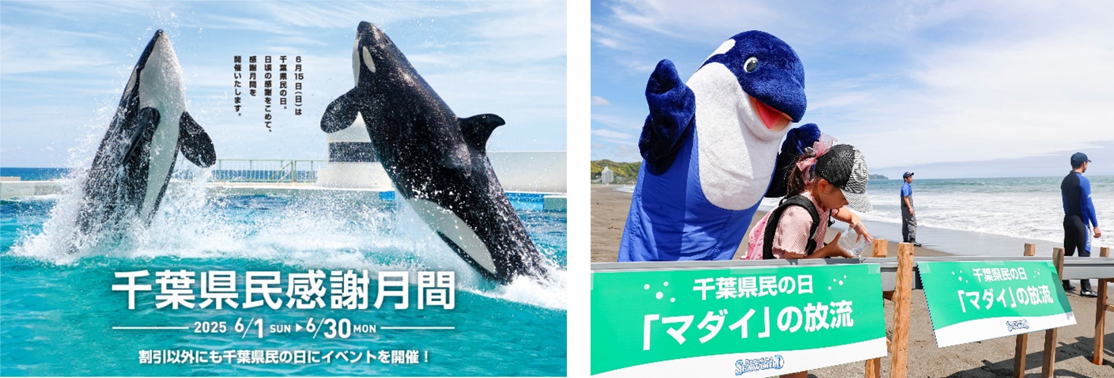 鴨川シーワールド】鴨川シーワールド「千葉県民感謝月間」開催 当館の 鴨川シーワールド】鴨川シーワールド「千葉県民感謝月間」開催 当館の