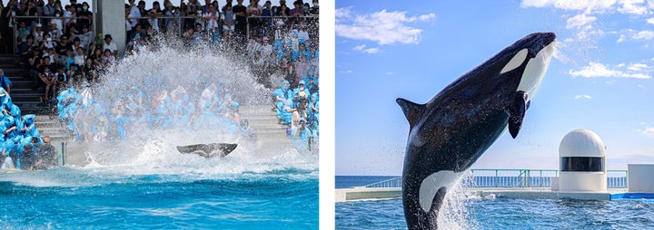 7398-1672- 7398-1672-