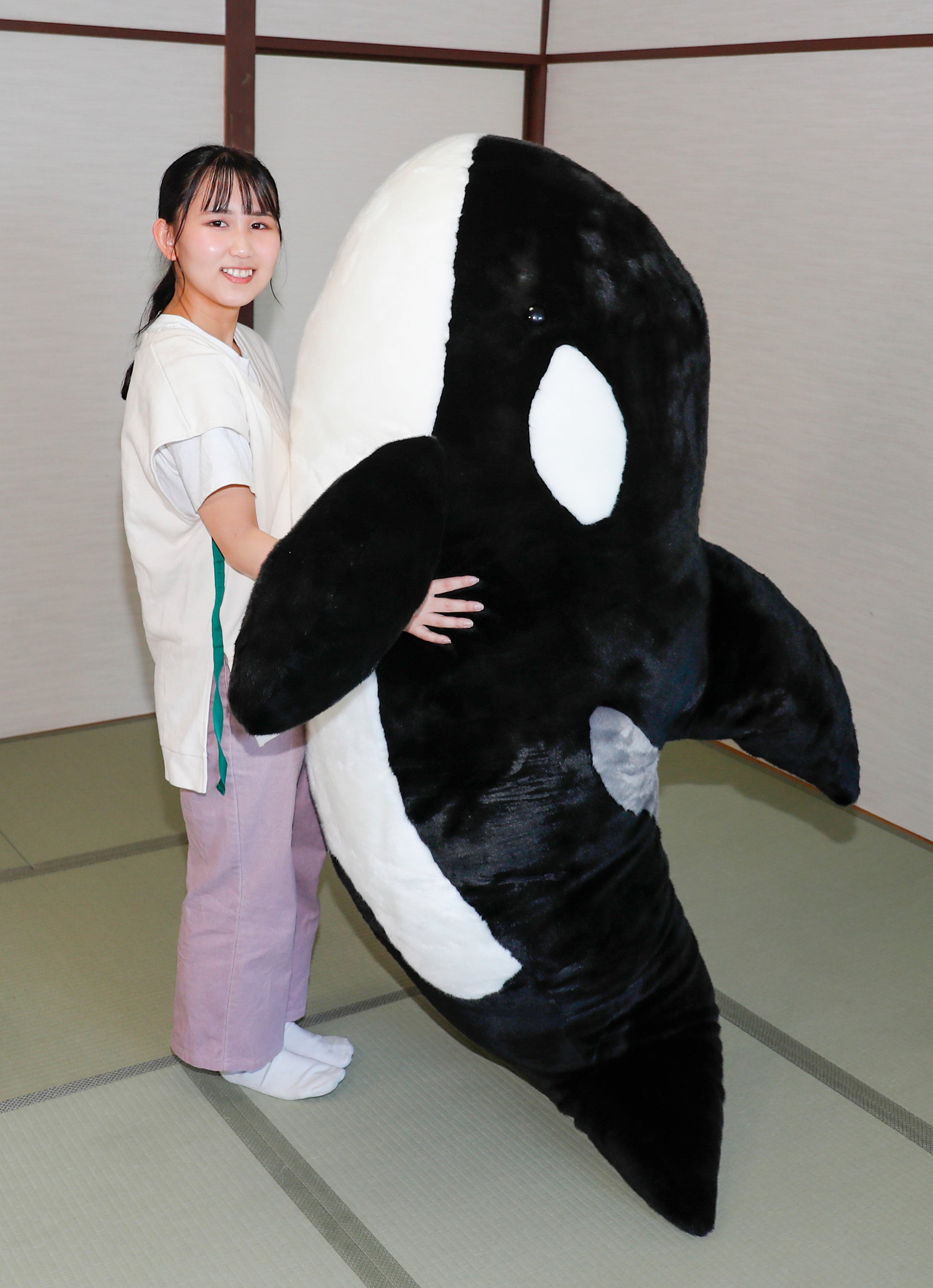 鴨川シーワールド】『“てっぱつ”シャチぬいぐるみ』販売開始