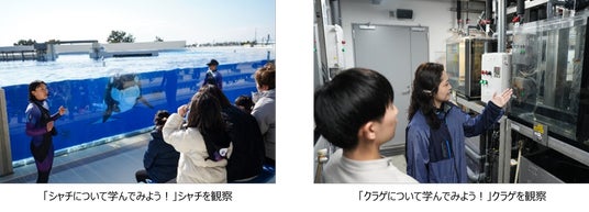 【神戸須磨シーワールド】シャチやクラゲについて学んでみよう!飼育員と楽しく学ぶ教育プログラム「生きものスマシースクール」 4月~6月に開催 【神戸須磨シーワールド】シャチやクラゲについて学んでみよう!飼育員と楽しく学ぶ教育プログラム「生きものスマシースクール」 4月~6月に開催