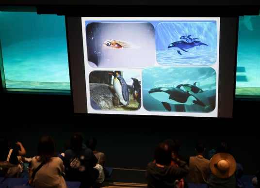 【鴨川シーワールド】飼育員が「水の生き物の飼育」や「絶滅危惧種の保全活動」について解説『飼育の日』・『国際博物館の日』特別レクチャー開催 【鴨川シーワールド】飼育員が「水の生き物の飼育」や「絶滅危惧種の保全活動」について解説『飼育の日』・『国際博物館の日』特別レクチャー開催