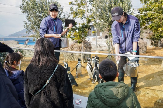 【神戸須磨シーワールド】ペンギンやカメについて学んでみよう!飼育員と楽しく学ぶ教育プログラム「生きものスマシースクール」11月~12月に開催 【神戸須磨シーワールド】ペンギンやカメについて学んでみよう!飼育員と楽しく学ぶ教育プログラム「生きものスマシースクール」11月~12月に開催
