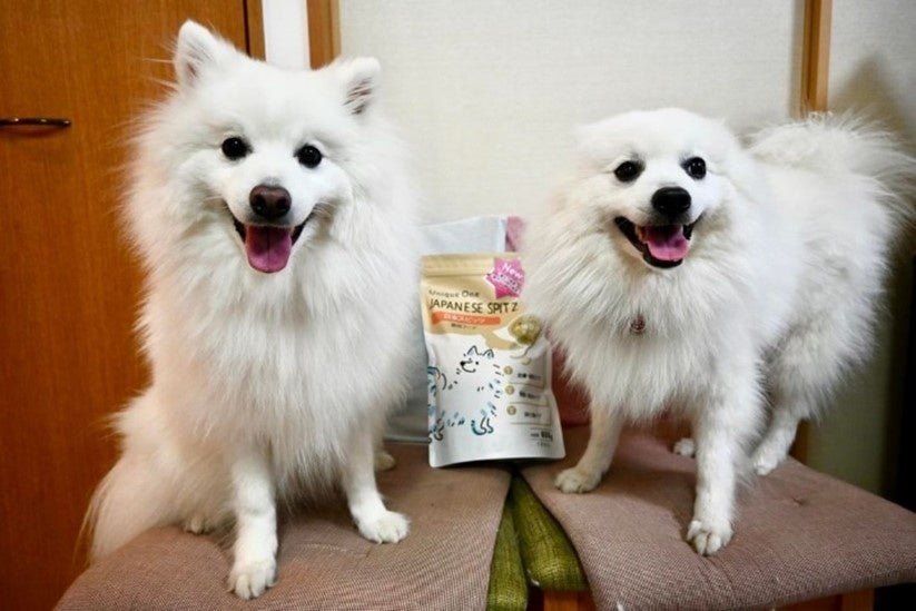 本日値下げ　新品　ホワイトゴールド　犬モチーフ南洋真珠タイタック　男女兼用 ハワイアンジュエリー ドッグタグ サージカルステンレス ステンレス