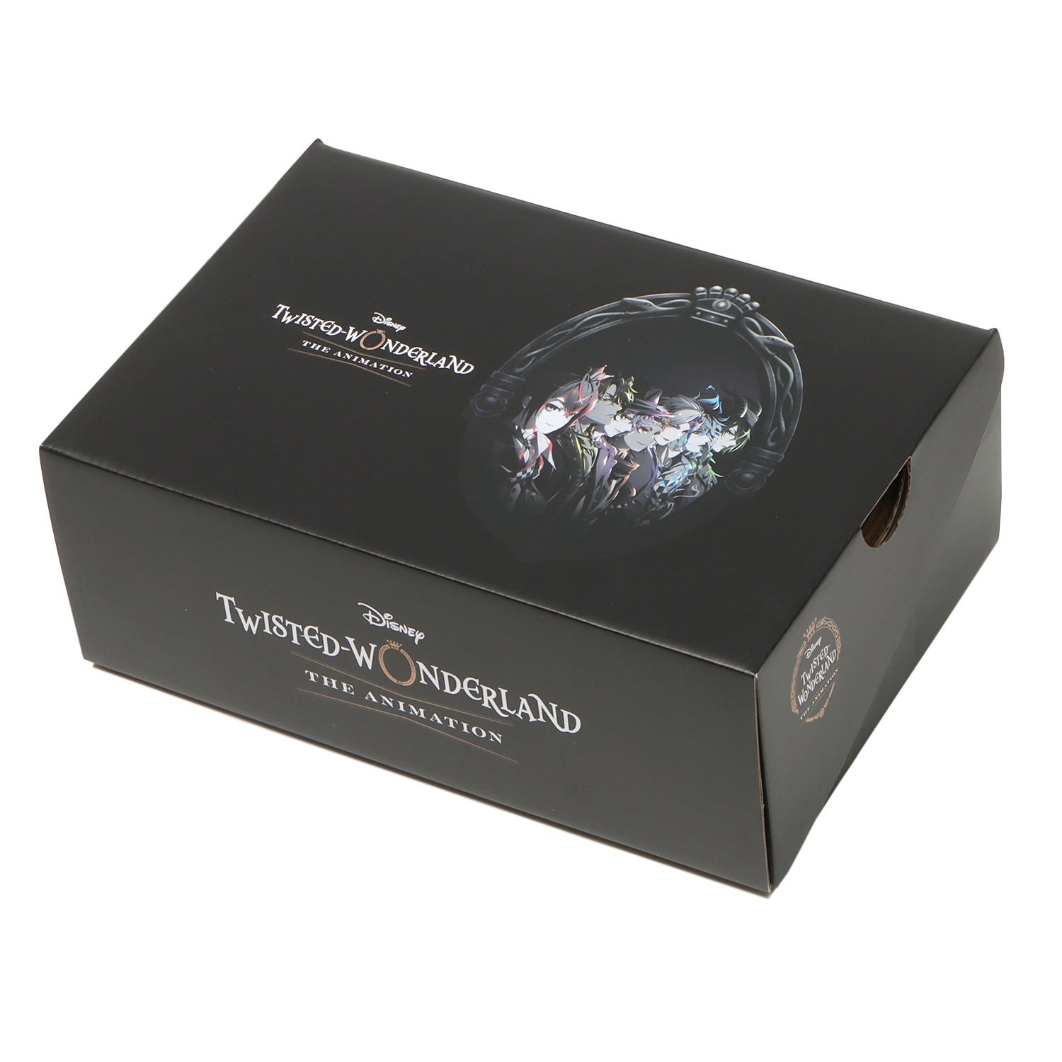 ディズニー ツイステッドワンダーランド ザ アニメーション』の