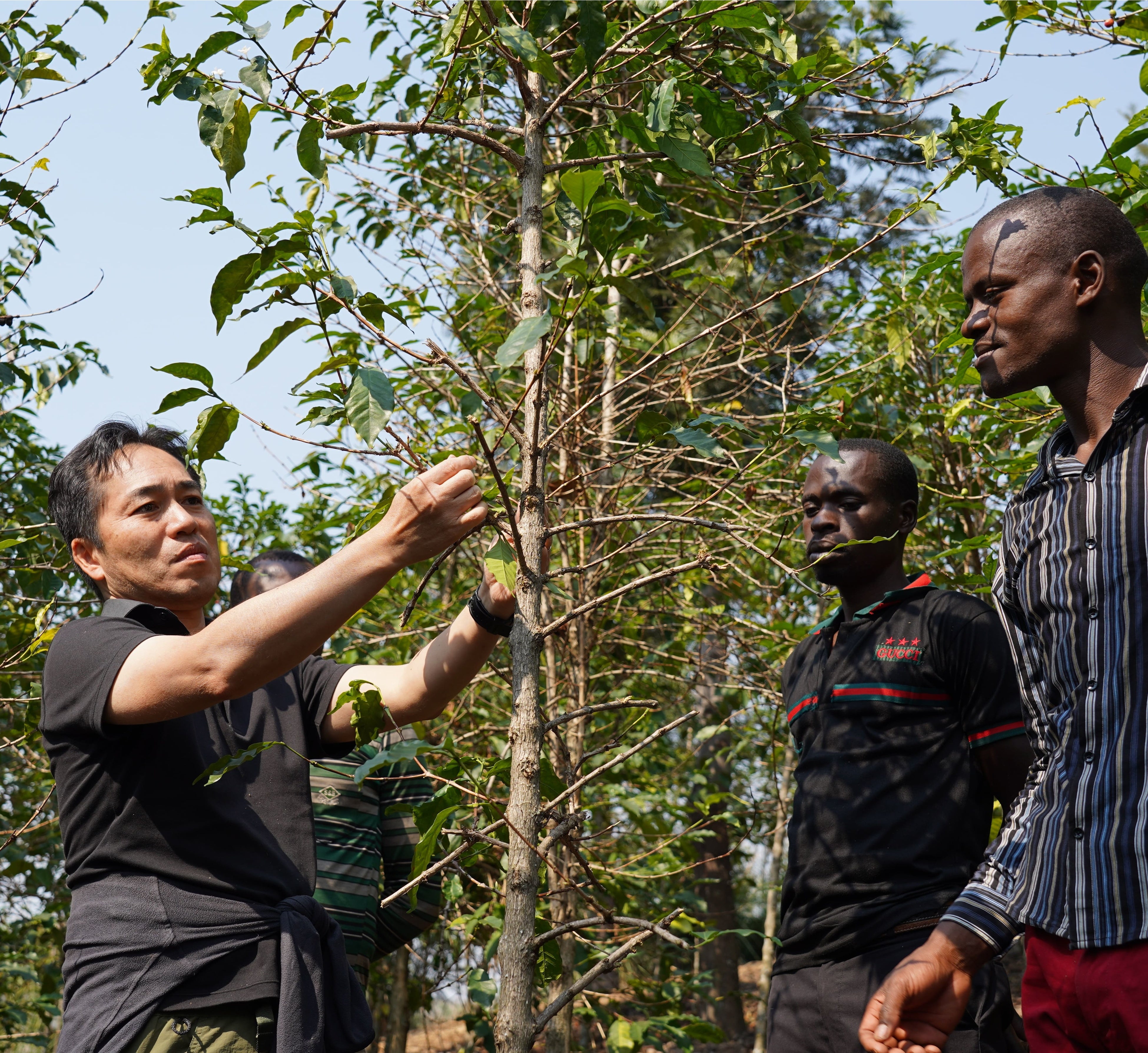 農事指導を行うUCC社員