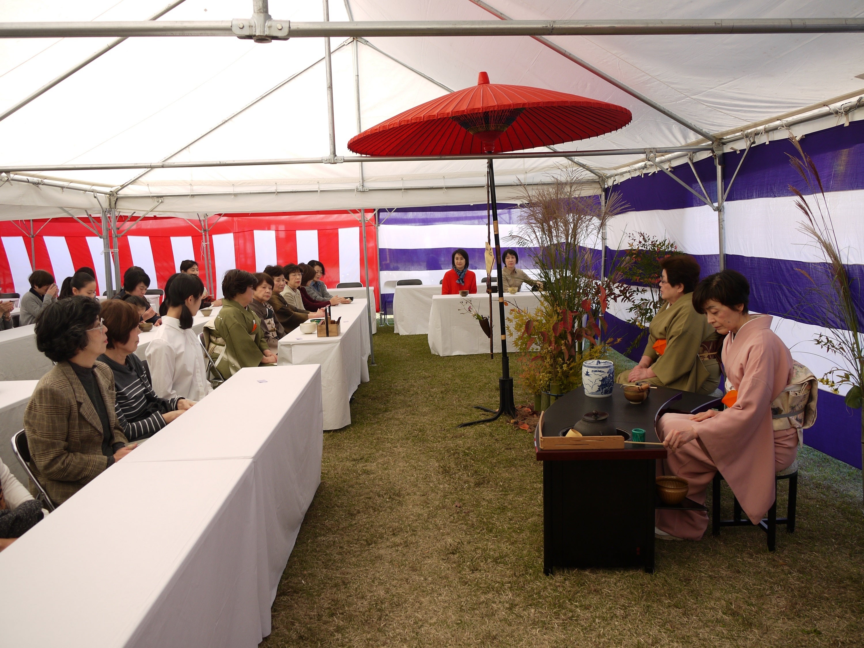 境内特設テント内の茶席。普段着でもご参加いただけます